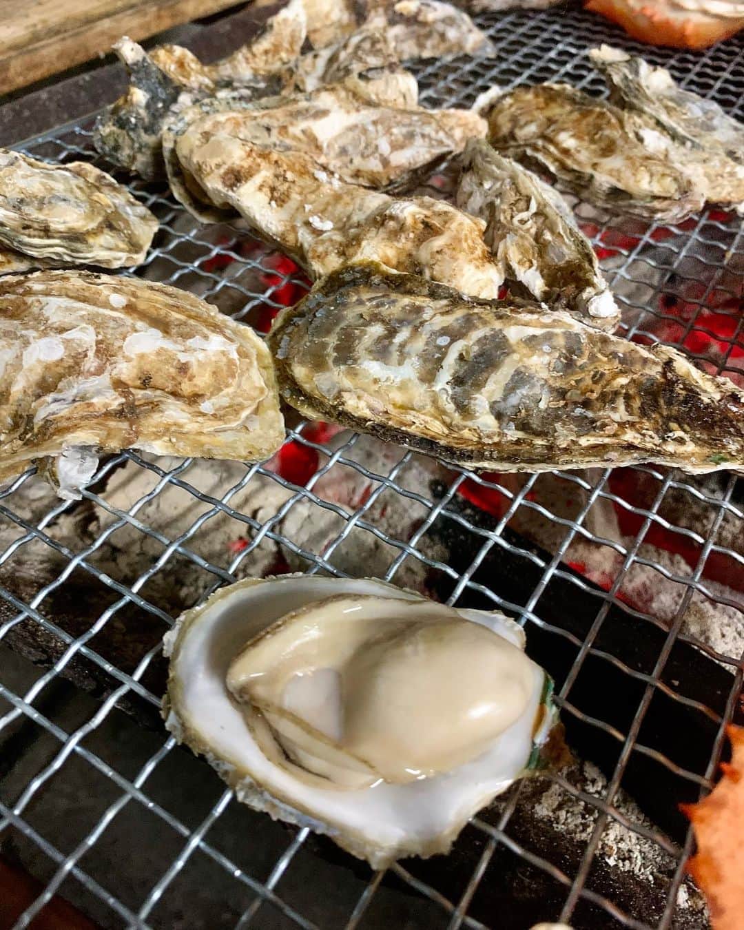 武内裕之のインスタグラム：「I had the most delicious oyster EVER 🦪 #oyster #japanesefood #fukuoka #福岡 #牡蠣小屋 #かき小屋」