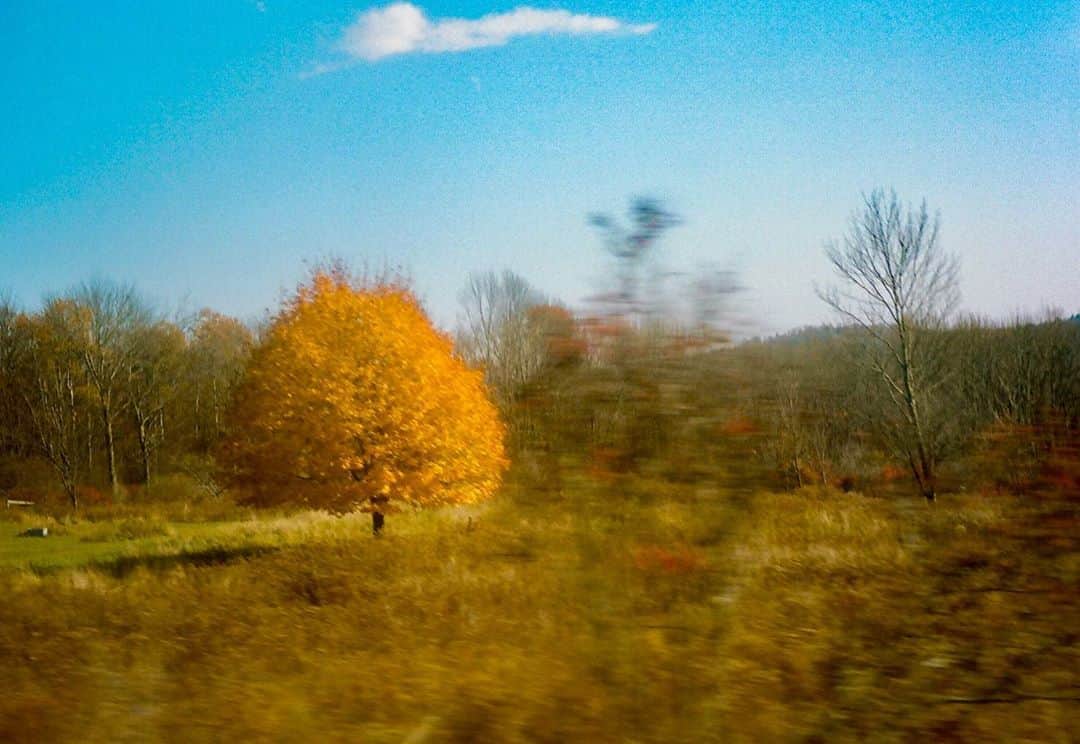 小浪次郎さんのインスタグラム写真 - (小浪次郎Instagram)「October color  Things change, but not all.」11月7日 8時48分 - jirokonami