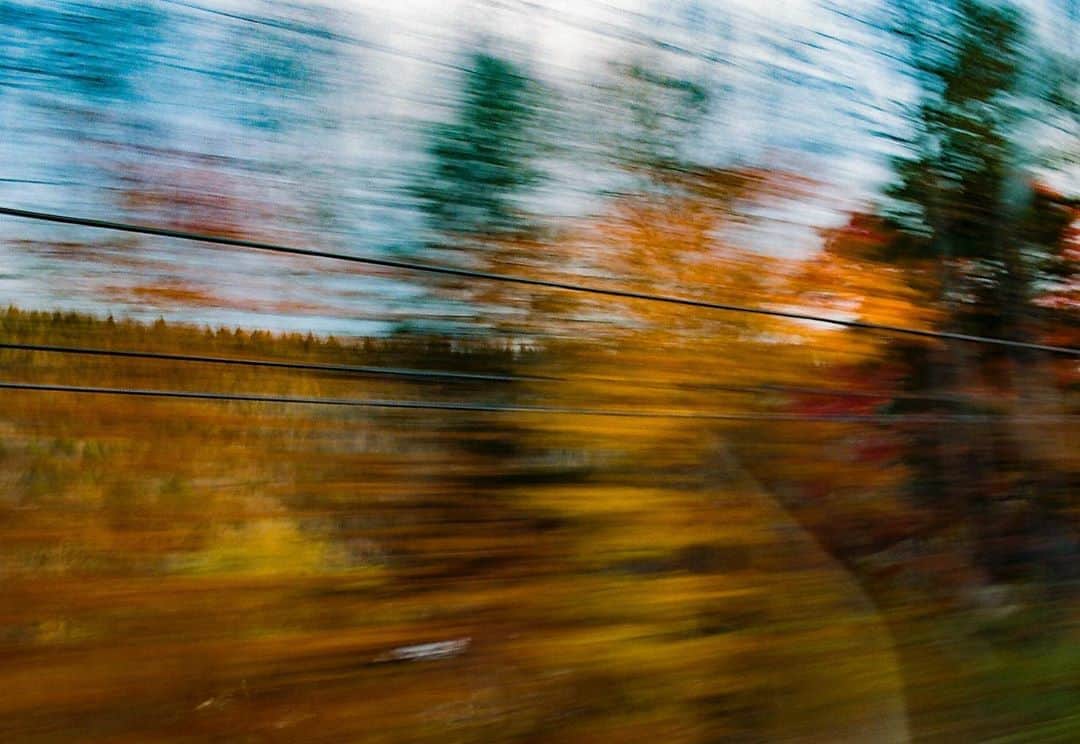 小浪次郎のインスタグラム：「October color  Things change, but not all.」