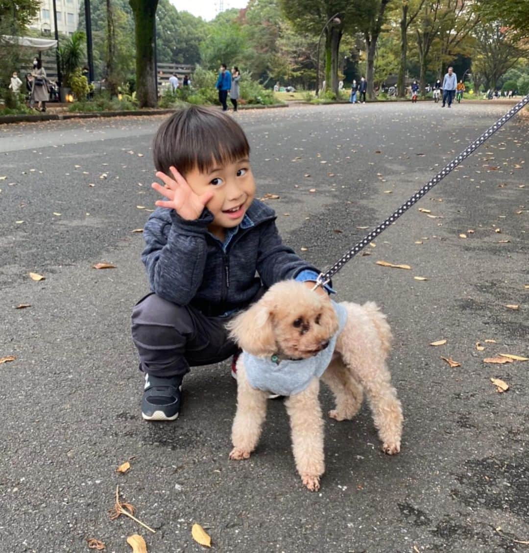 時東ぁみさんのインスタグラム写真 - (時東ぁみInstagram)「愛犬くんに会いたい！と言ってくれるのって嬉しい♡ ・ ライブやフォトブック、写真展でお世話になってるメイクさんとランチ♡ ステキなカフェを教えてくれました♡ 愛犬と息子さんのコラボが最強に可愛かった🐶👦🏻 ・ そんな愛犬と雑誌cuun連載してますので、ぜひ見てくださいね🐶💕 ・ #時東ぁみ #愛犬 #犬 #dog #トイプードル #toypoodle #彼氏 #息子 #ドッグカフェ #桜新町 #newold #カフェ #dogcafe #cafe #cuun #連載 #いぬすたぐらむ #犬バカ部 #👦🏻 #🐶」11月7日 9時31分 - amitokito