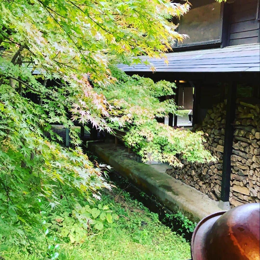 志摩有子さんのインスタグラム写真 - (志摩有子Instagram)「今回の旅の目的はこのお宿に泊まること。湯宿さか本。見事な紅葉が始まっていた。  #能登備忘録 #湯宿さか本」11月7日 9時36分 - ariko418