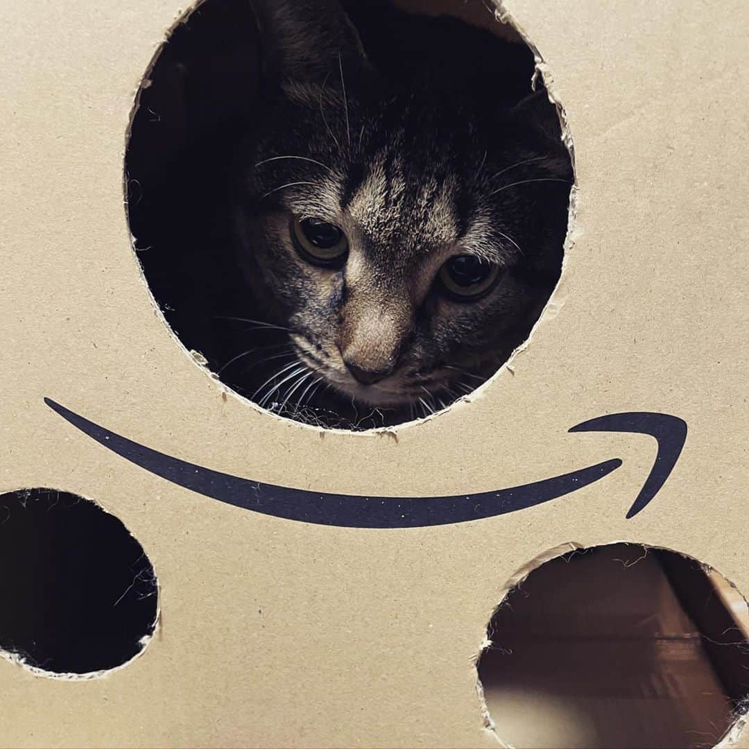 小森高博のインスタグラム：「アマゾンの住人」