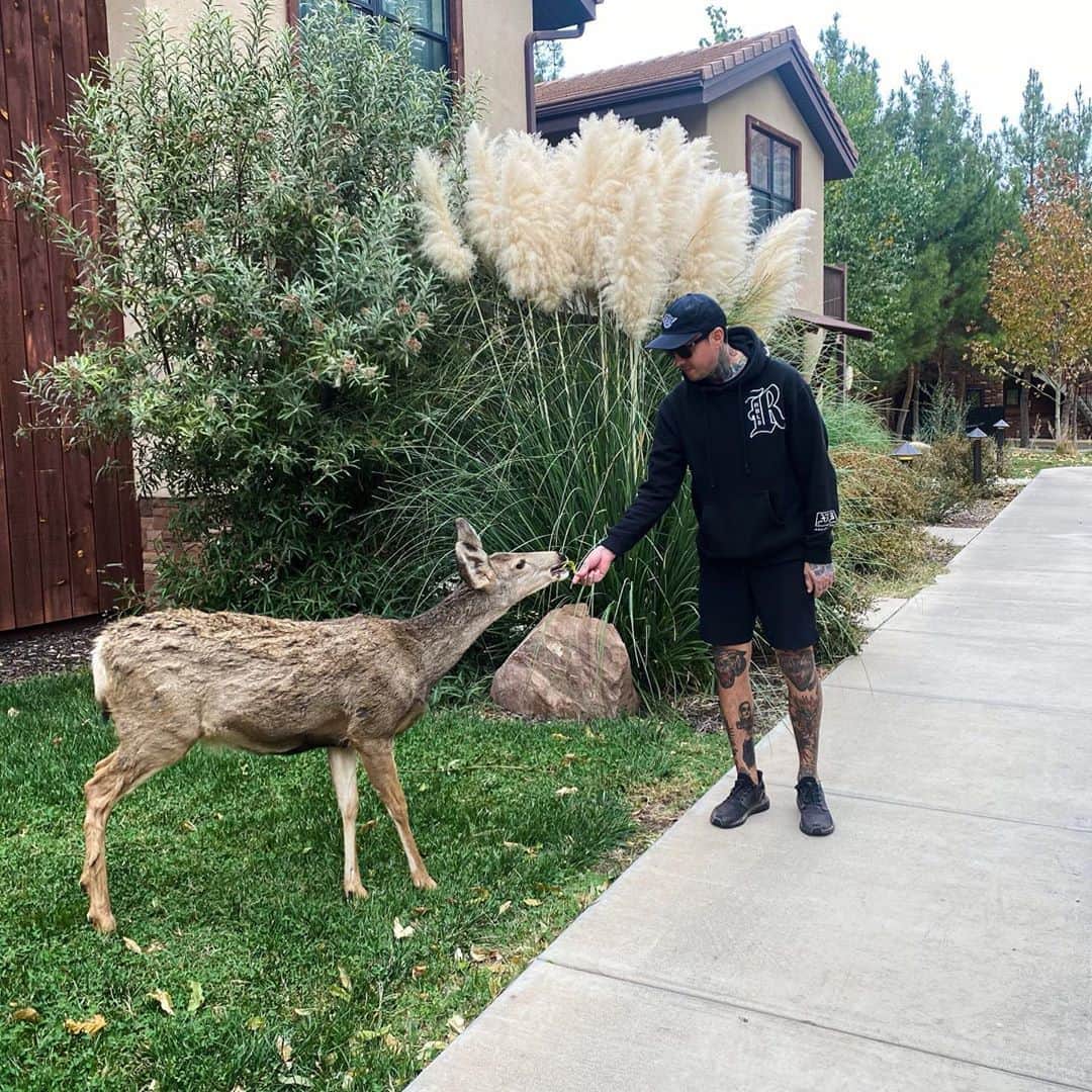 トニー・ペリーのインスタグラム：「She was eating the leaves off of the ground, so I helped her find some good ones 👍🍃」