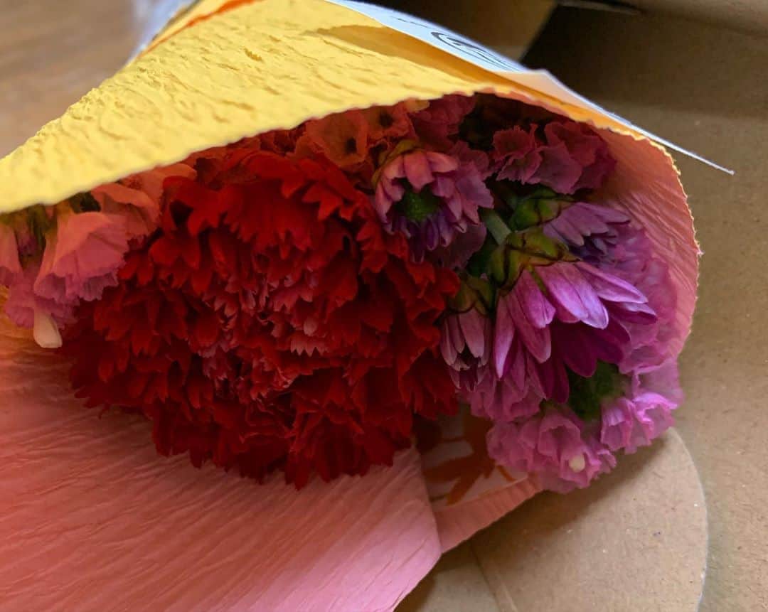田中悦子さんのインスタグラム写真 - (田中悦子Instagram)「今朝、 @bloomeelife からお花が届きました💐⠀⠀  今週のお花は 🌸大輪カーネーション 🌸スターチス 🌸小菊⠀ ⠀ 【小さなときめきが週末届く】  週末にお花が届くと、小さなときめきを感じます☺️🥰⠀ 疲れが出やすい季節の変わり目ですが、お花のパワーで癒しとときめきをチャージしてみてはいかがでしょうか🌸🌼🌸⠀ ⠀ 初回のお花が無料になるクーポンはこちら❣️ ⠀ 🌸クーポンコード🌸⠀ クーポンコード：etsuko 有効期限：2020年11月30日 ⠀ #bloomeelife @bloomeelife  #bloomeelifeのある暮らし  #bloomeelifeがある生活  #ブルーミーライフ #お花のある暮らし  #flowers」11月7日 10時04分 - etsuko.reborn25