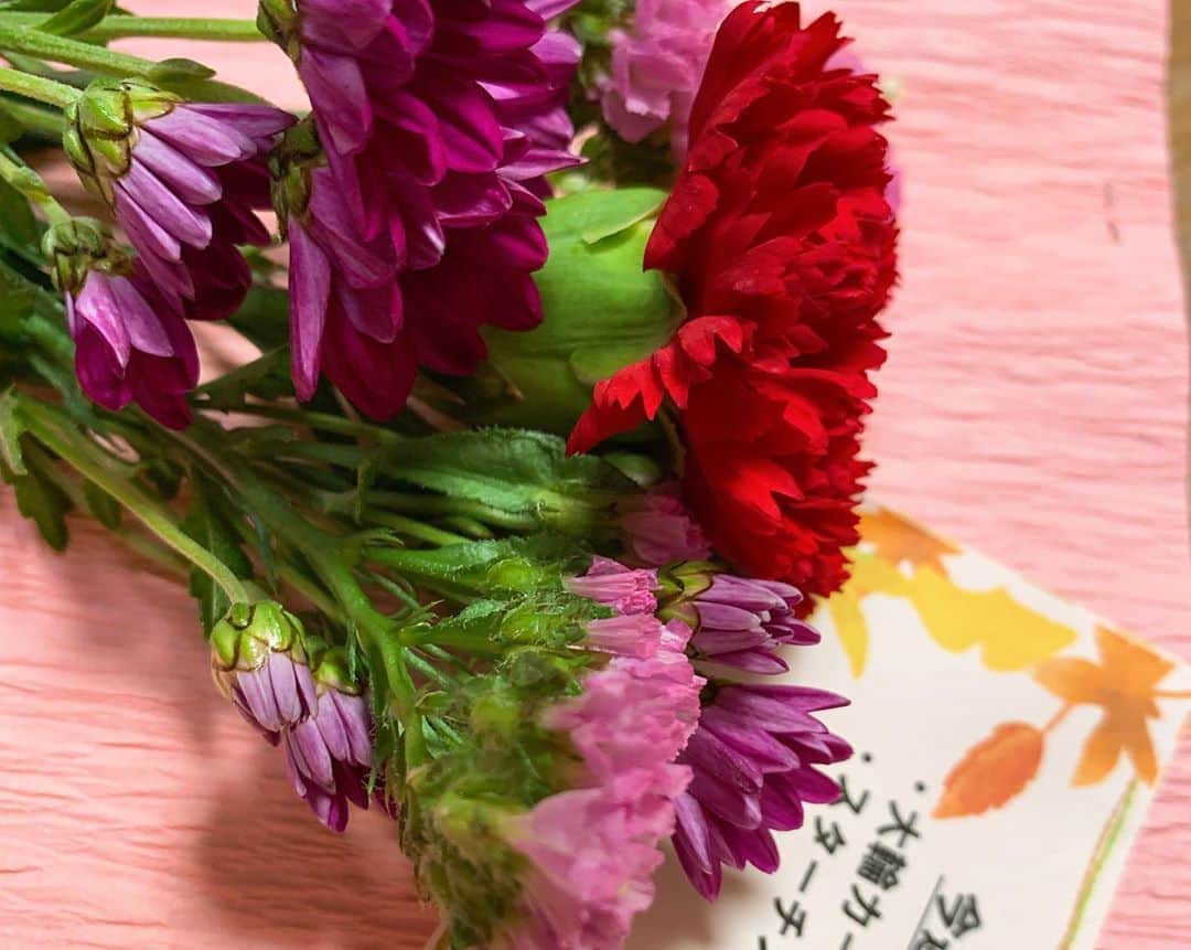 田中悦子さんのインスタグラム写真 - (田中悦子Instagram)「今朝、 @bloomeelife からお花が届きました💐⠀⠀  今週のお花は 🌸大輪カーネーション 🌸スターチス 🌸小菊⠀ ⠀ 【小さなときめきが週末届く】  週末にお花が届くと、小さなときめきを感じます☺️🥰⠀ 疲れが出やすい季節の変わり目ですが、お花のパワーで癒しとときめきをチャージしてみてはいかがでしょうか🌸🌼🌸⠀ ⠀ 初回のお花が無料になるクーポンはこちら❣️ ⠀ 🌸クーポンコード🌸⠀ クーポンコード：etsuko 有効期限：2020年11月30日 ⠀ #bloomeelife @bloomeelife  #bloomeelifeのある暮らし  #bloomeelifeがある生活  #ブルーミーライフ #お花のある暮らし  #flowers」11月7日 10時04分 - etsuko.reborn25