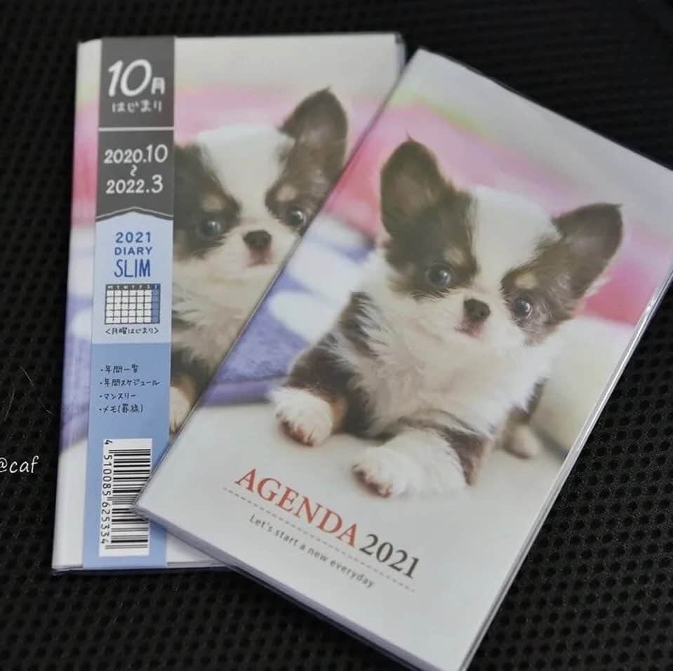 のインスタグラム：「2021年ふしぎちゃんグッズ🥰 色々な、100均で販売されてます。 本当に嬉しい犬小屋ですが、当のふしぎちゃんは何もわかっておりません😊  #chihuahua  #犬小屋 #chihuahuasofinstagram  #dogstagram  #ちわわ大好き  #チワワ #100均  #カレンダー2021  #ふしぎすたぐらむ #チワワのいる暮らし」