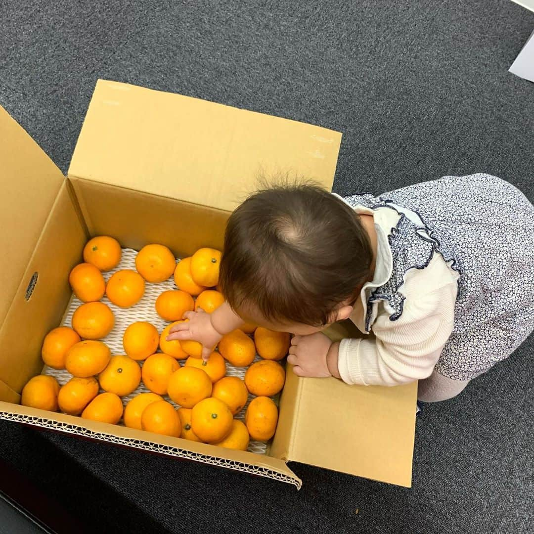 みかんさんのインスタグラム写真 - (みかんInstagram)「イベントで頂いた愛媛県産みかん🍊 朝、お兄ちゃんが妹に🍊をあげてて、私が気が付いたころには😱😱😱  ズボン無地だから染色したの❓🤣  #愛媛県産みかん #甘い #ビタミンいっぱい #私も1日に沢山食べてしまう #娘もみかん気に入ったようだ」11月7日 10時24分 - mikan02241984