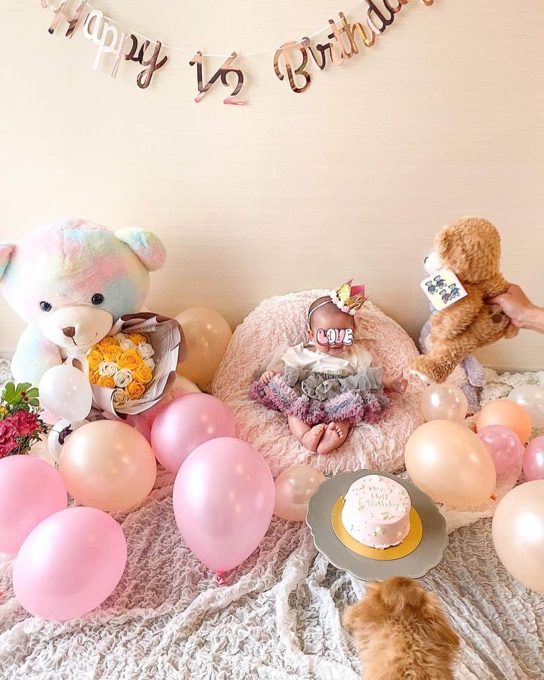 林弓束さんのインスタグラム写真 - (林弓束Instagram)「. 今日は、まはりのハーフバースデー🌼 . Happy Half Birthday👶🏻🎂💖 おめでとう🎉 まはりが産まれてくれて本当に毎日幸せいっぱい💕 最近は本当によく笑ってくれるし、離乳食もよく食べてくれるし、 毎日キュンキュンさせてもらってます👼💘 . 半年の成長はすさまじく、 2090gで産まれた体重も今では6500g❣️3倍に😍 大きくなったね✨ ダッフィちゃんであやすのがお気に入りで、 あとイブのこともお気に入り🐶 イブに興味しんしんでイブが寄ってくると笑ってる🐶💖 優しい子に育ってくれますように。 . . 🎂は @dolce_maririsa  チュチュはこの前ちーちゃん @chisatosakura がくれたもの🎁💖 ナイスタイミング🥺❤️ . . . .  #令和ベビー #ベビスタグラム  #令和2年ベビー #新米ママ #初産 #初ママ #女の子ママ #女の子ベビー #乳児 #赤ちゃん #赤ちゃんのいる暮らし #赤ちゃんのいる生活  #6ヶ月ベビー #生後6ヶ月 #6ヶ月 #5月生まれ#2020年5月生まれ #生後半年 #生後半年記念 #離乳食アート  #ハーフバースデー #ハーフバースデーフォト #はーふばーすでー #halfbirthday #happyhalfbirthday #ハッピーハーフバースデー #バースデーフォト #バースデーフォト撮影 #バースデーケーキ」11月7日 16時26分 - hayashiyuzuka