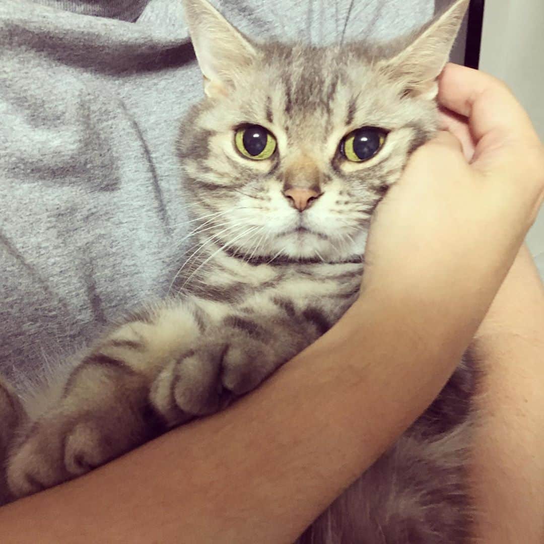 なごむのインスタグラム