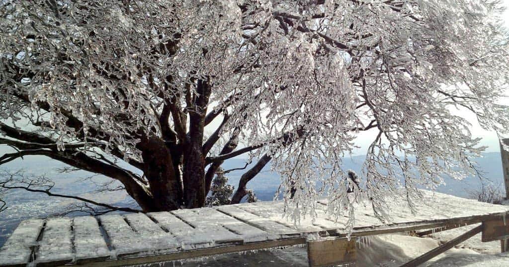 桜花さんのインスタグラム写真 - (桜花Instagram)「おはようございマウンテン🗻🌷  本日もナイスな１日にいたしましょ🌷✨  以前大山にキラキラの木が現れた時の写真です🌷✨霧氷でムヒョ〜🍀   #おはよう  #おはようございます #goodmorning  #morning  #霧氷  #霧氷でムヒョー #キラキラ  #キラキラツリー」11月7日 11時32分 - mountainohka