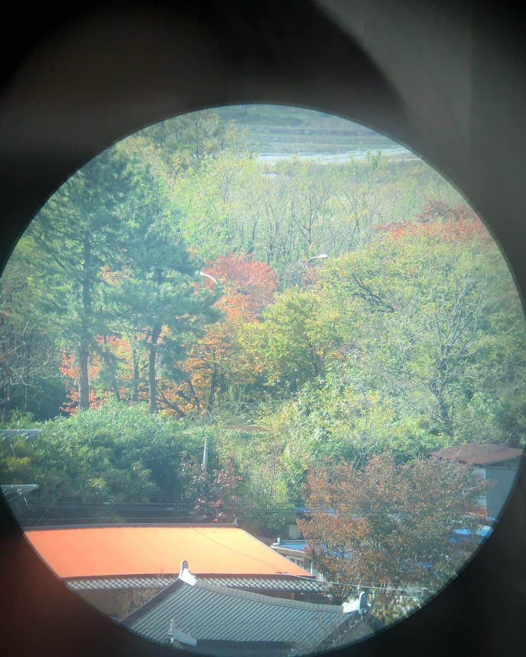 アシュリさんのインスタグラム写真 - (アシュリInstagram)「Autumn through binoculars 🔭」11月7日 12時07分 - ashleybchoi
