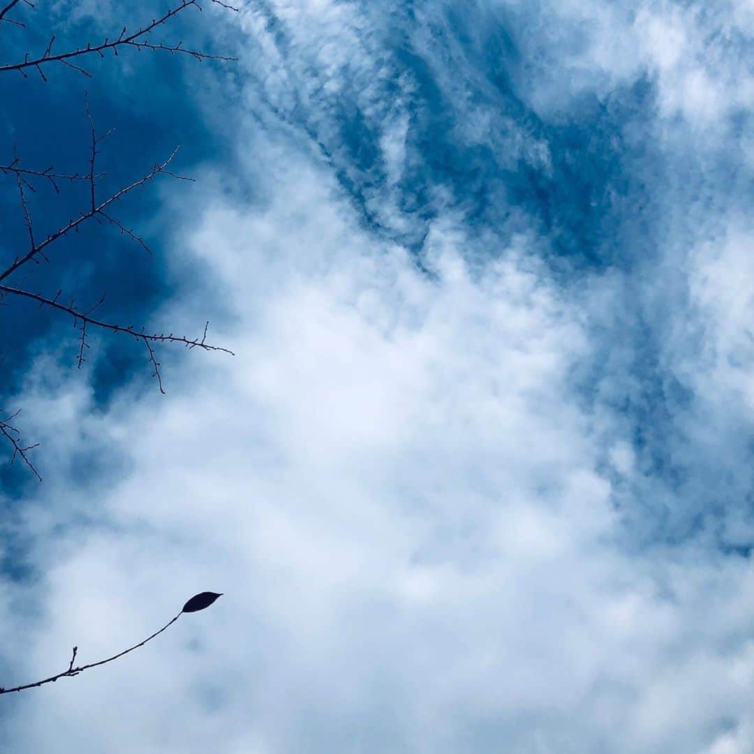 江田由紀浩さんのインスタグラム写真 - (江田由紀浩Instagram)「いつものように、東大前から、てくてく歩いて浄心寺へ行ってきた。 #立川談志」11月7日 12時33分 - eda_yukihiro