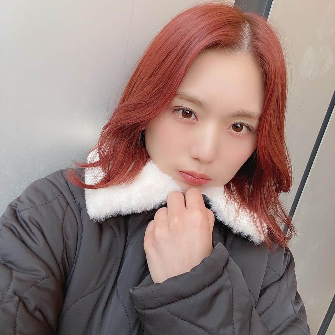 ひよんのインスタグラム：「☃️🎄💓 ㅤㅤㅤㅤㅤㅤㅤㅤㅤㅤㅤㅤㅤ 昨日LOFT通ったらクリスマスコーナーがあって 😨😨😨😨😨ってなった。笑 ㅤㅤㅤㅤㅤㅤㅤㅤㅤㅤㅤㅤㅤ 髪色質問多かったのだけど、 ブリーチしてないよ🙅‍♀️💓 ㅤㅤㅤㅤㅤㅤㅤㅤㅤㅤㅤㅤㅤ #daily #haircolor #cherryred #9unq #희영 #헤어컬러 #데일리 #크리스마스 #꾸안꾸 #クアンク #ひよん」