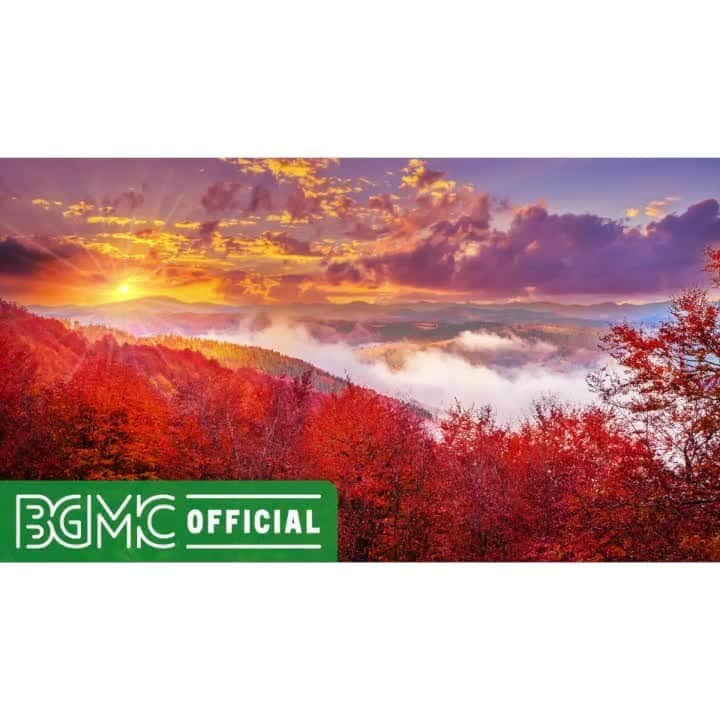 のインスタグラム：「Beautiful Meditation Music - Zen Garden Instrumental Music for Resting, Stress Relief and Anxiety  Please check the full version on #YouTube from the profile URL.  #BGMC #BGMClife #GreenMusicBGMchannel #StayHome #anxiety #meditation #resting」