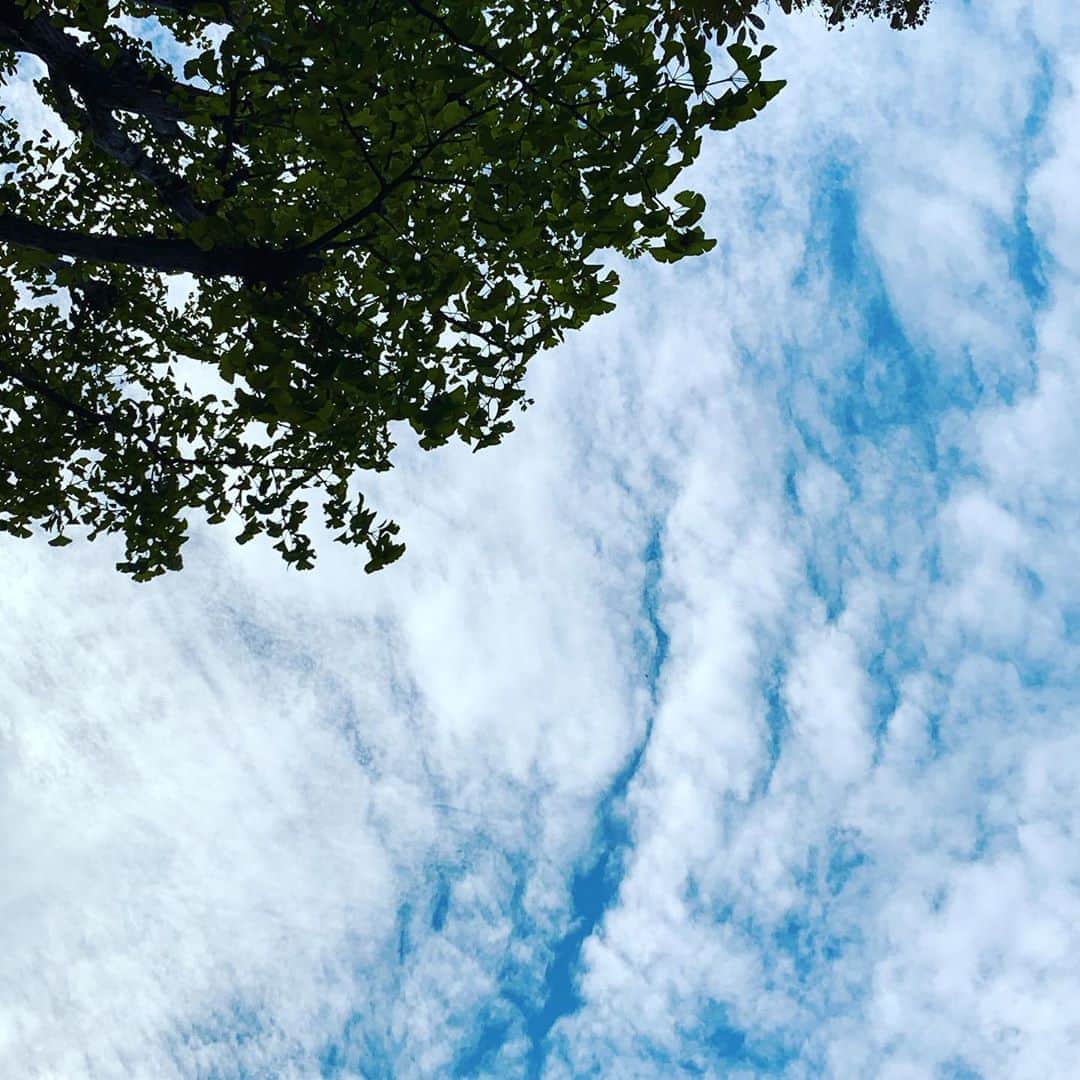 黒沢薫さんのインスタグラム写真 - (黒沢薫Instagram)「秋の雲。 #clouds #beautiful #sky #イマソラ #lovelife #instaview #autumn #feelgood」11月7日 13時26分 - kaorukurosawa_lovelife