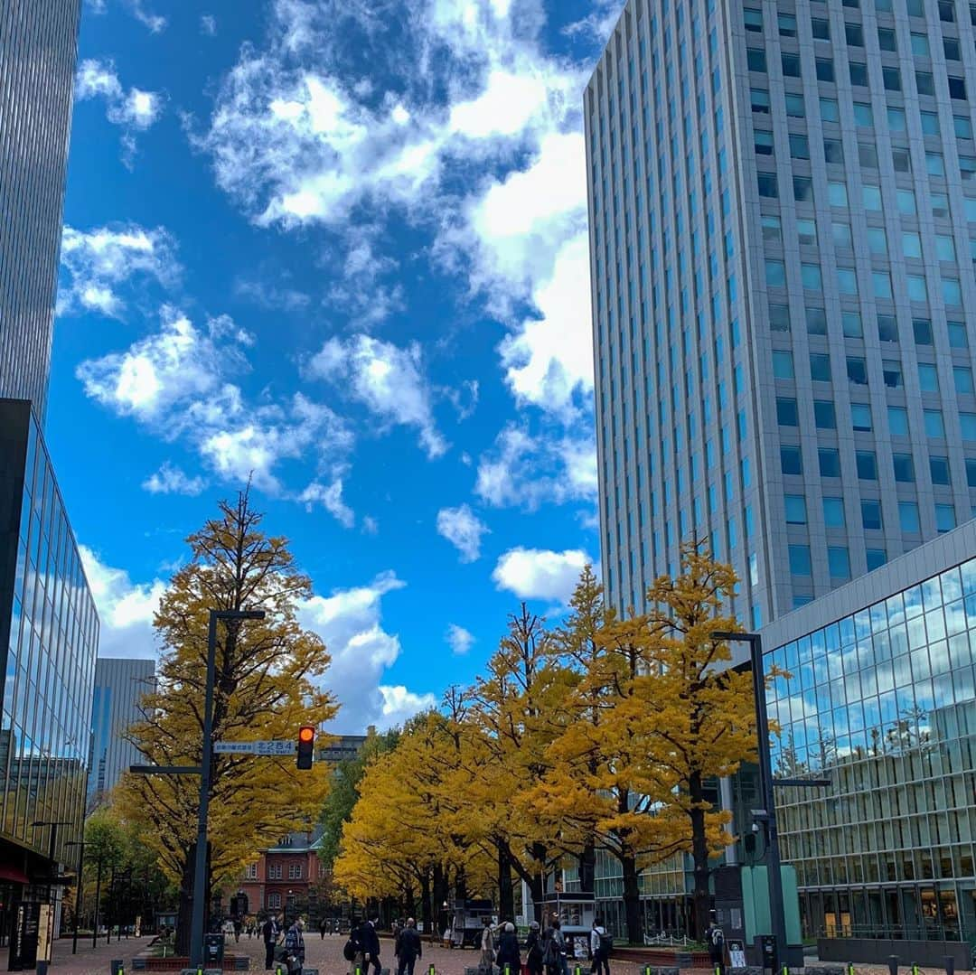 小柳津林太郎さんのインスタグラム写真 - (小柳津林太郎Instagram)「Went to Hokkaido! It's been a year since I last visted. The color of the sky is too beautiful . Thanks Sapporo, Otaru and Yoichi!   弾丸北海道。今回は札幌、小樽、余市。一年2ヶ月ぶりだったなー。一個だけ気付き直したけど、北海道の空はほんまに綺麗やな。色合いが違う。また、来ます。こっちでも色々展開したい🔥  #北海道 #札幌 #小樽 #余市 #藻岩山 #hokkaido #sapporo #otaru #yoichi #mountmoiwa」11月7日 13時37分 - rinsta_gram1002