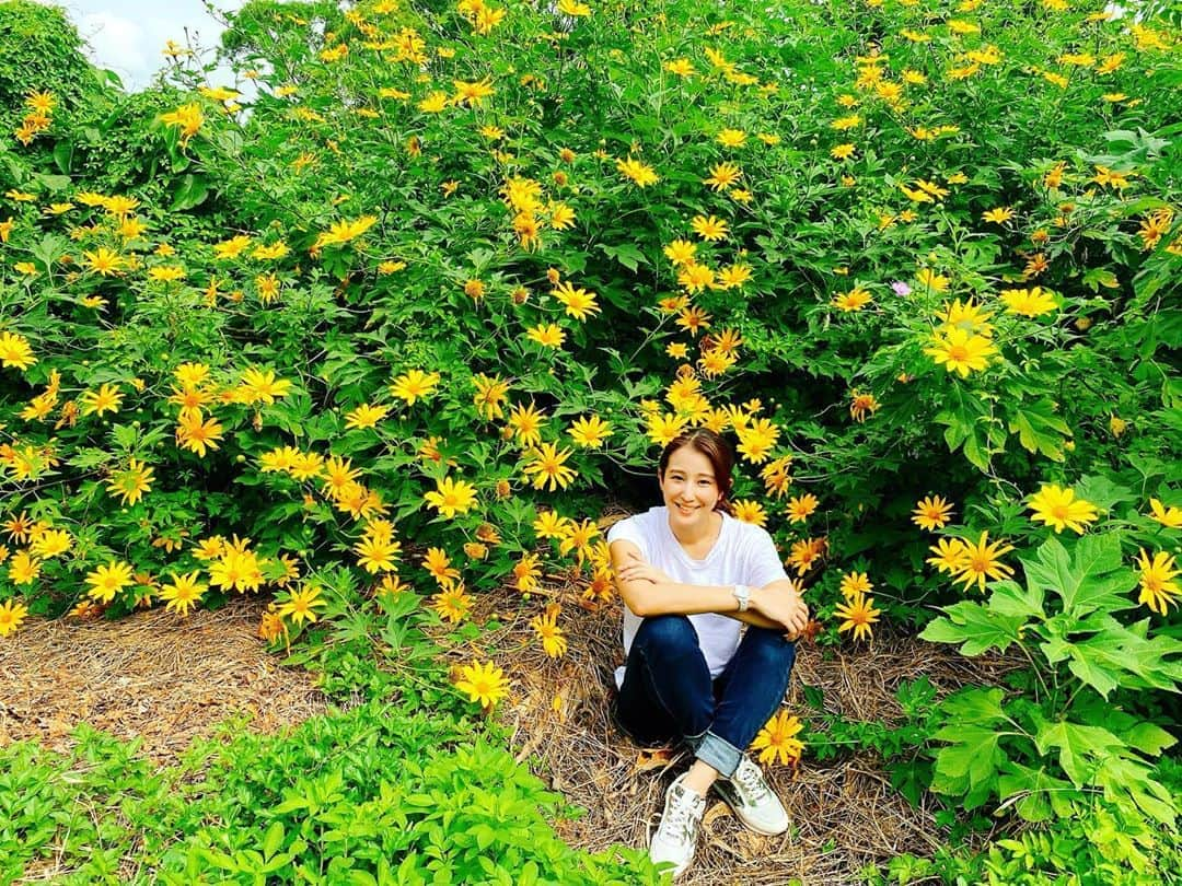 長嶺花菜のインスタグラム