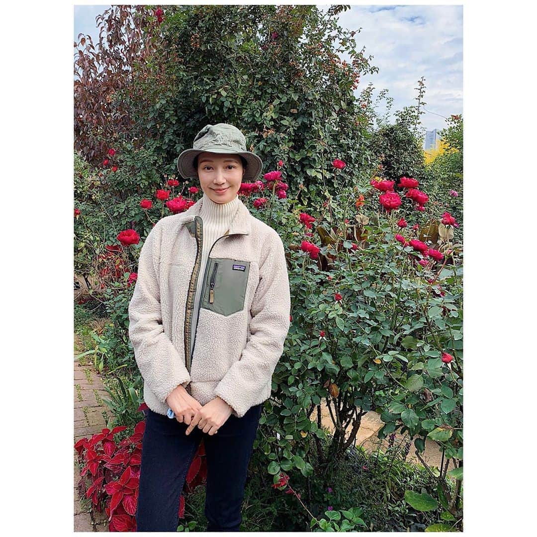 愛可さんのインスタグラム写真 - (愛可Instagram)「・ 昨日は私たち夫婦の両方のお母さん達と横浜イングリッシュガーデンへ🌹  私、買ったばかりのパタゴニアのジャケットですっかり園のスタッフさんに見えます。 ・ ・ こちらのイングリッシュガーデン、大好きなので毎年5月には必ず来ていましたが、今年の春の薔薇の時期はコロナの影響で休館を余儀なくされていたので、初めて秋の薔薇を見に行って来ました。  薔薇の他にもコスモスや、一緒に植えられている季節の草木とのバランスがとても素敵なのでガーデニング好きの方是非行かれてみて下さい！ 比較的空いている平日がおすすめです、母達も喜んでいました。 ・ ・ 帰りは中華街へ週末だけ営業している萬珍樓點心舗で飲茶ランチを。 息子くんとお母さん達との和やかな時間を過ごせました！ ・ ・ #横浜イングリッシュガーデン  #秋の薔薇 #萬珍樓點心舗」11月7日 13時58分 - aikick