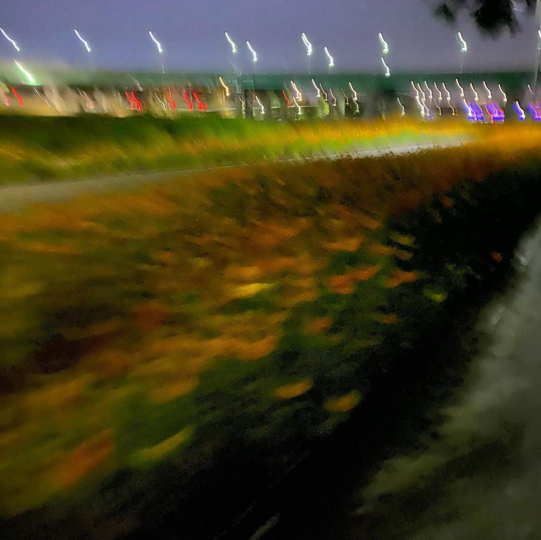 ソ・ジヘさんのインスタグラム写真 - (ソ・ジヘInstagram)「가을 산책」11月7日 14時15分 - jihye8024