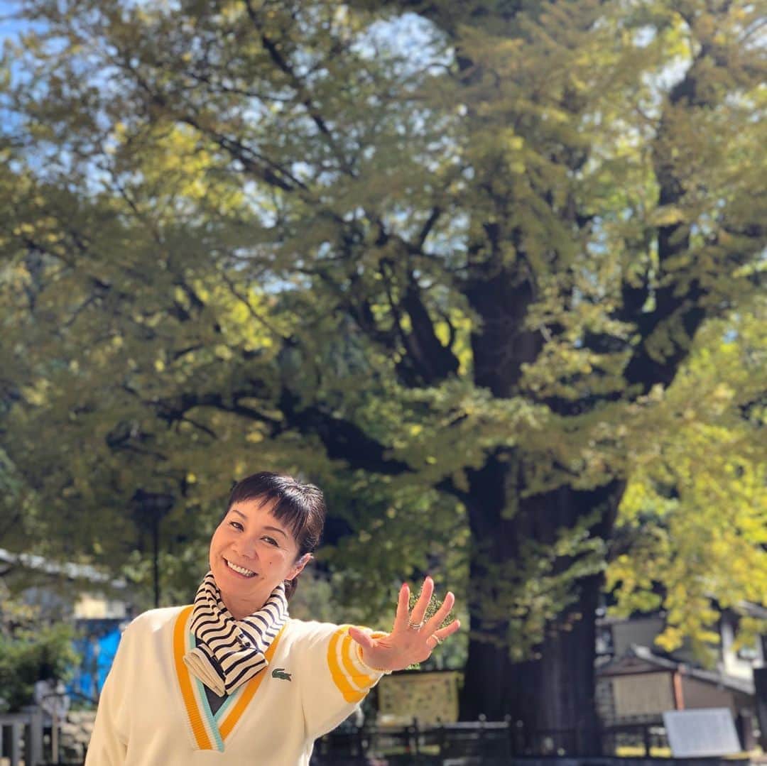 山本華世のインスタグラム