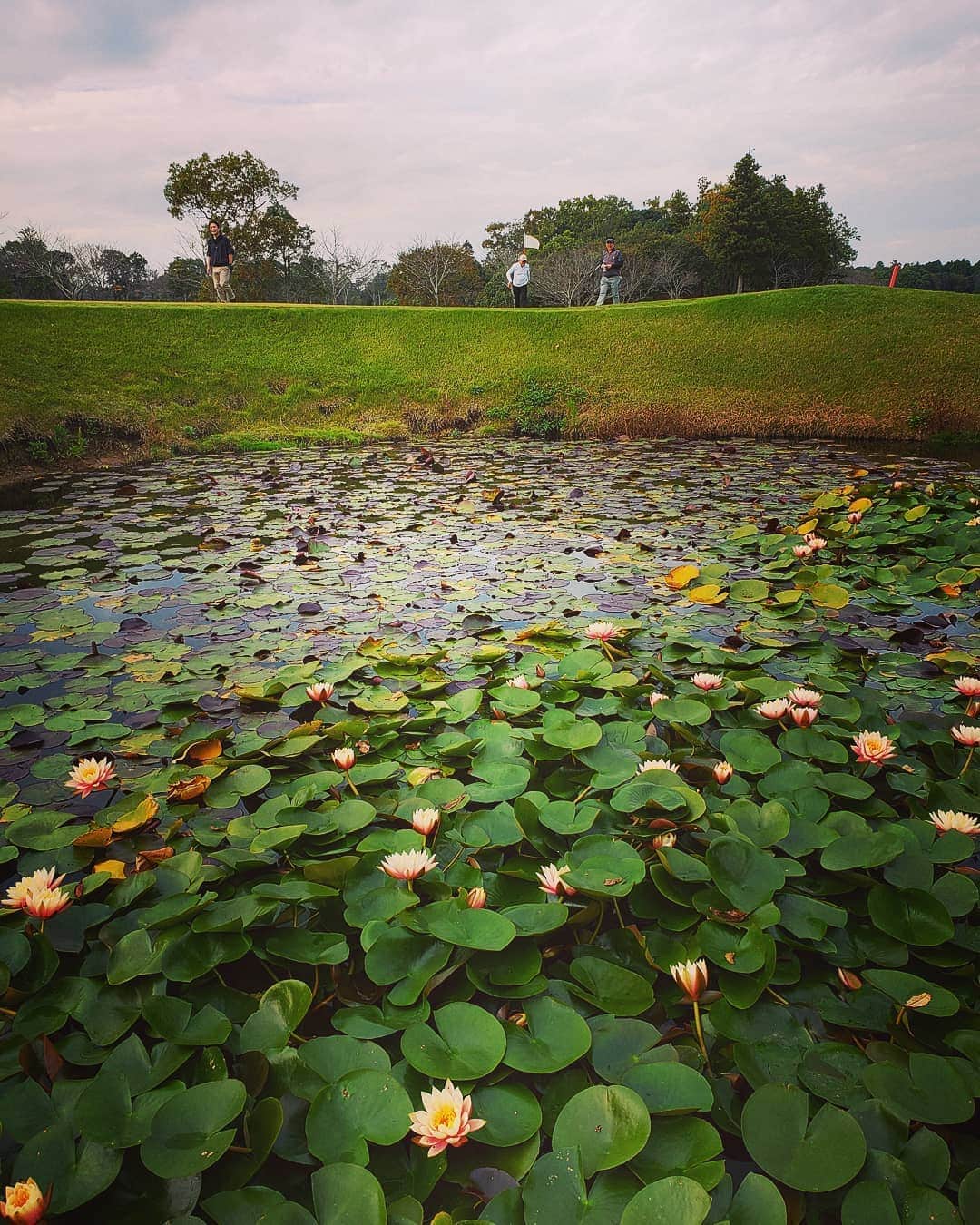 上杉隆のグルメインスタ