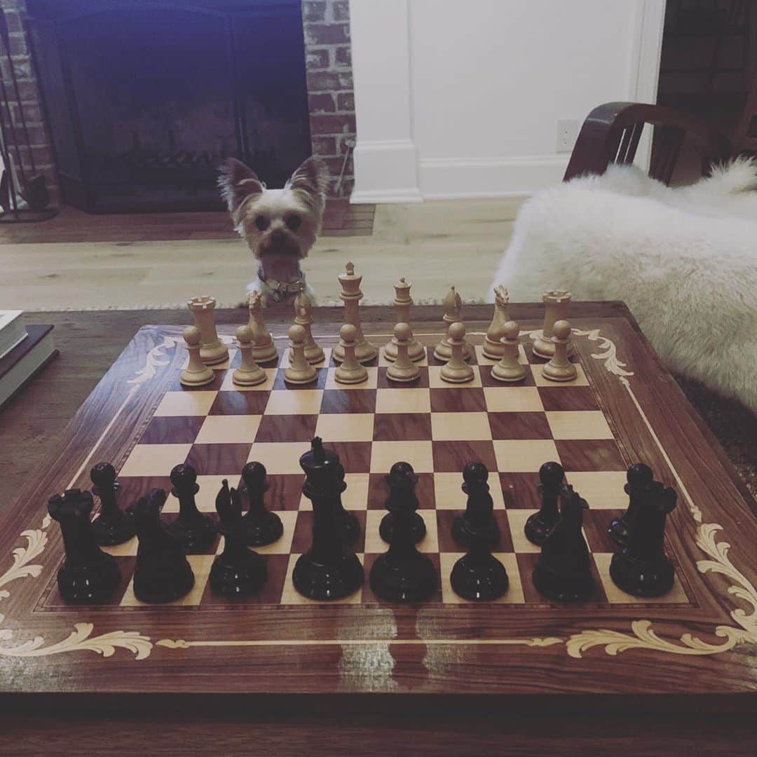 ベス・ベアーズのインスタグラム：「Don't mess with Betty Harmon! @the.queensgambitnetflix 🤣」