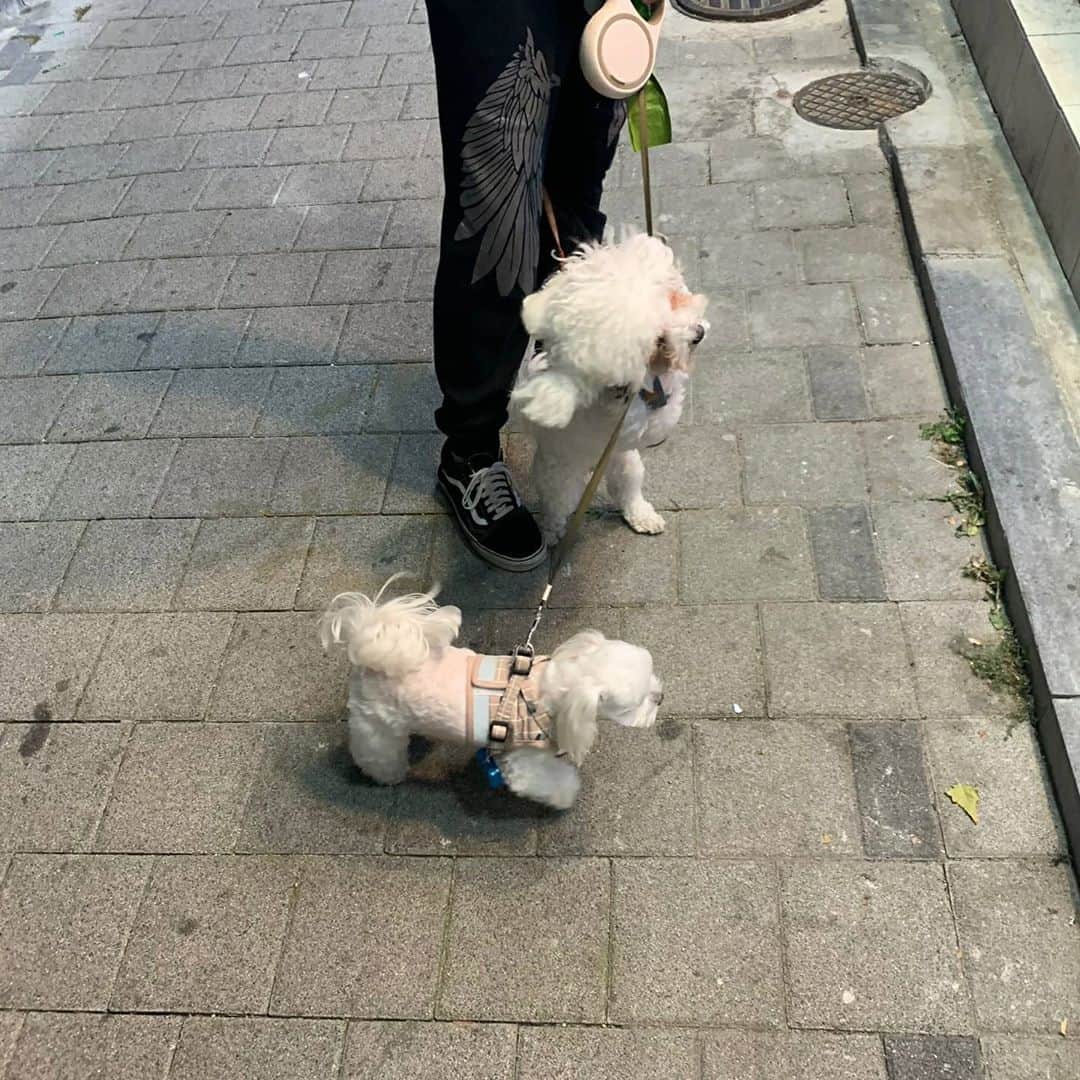 ホ・ジョンミンのインスタグラム：「#개자식쉑이훈련병들」