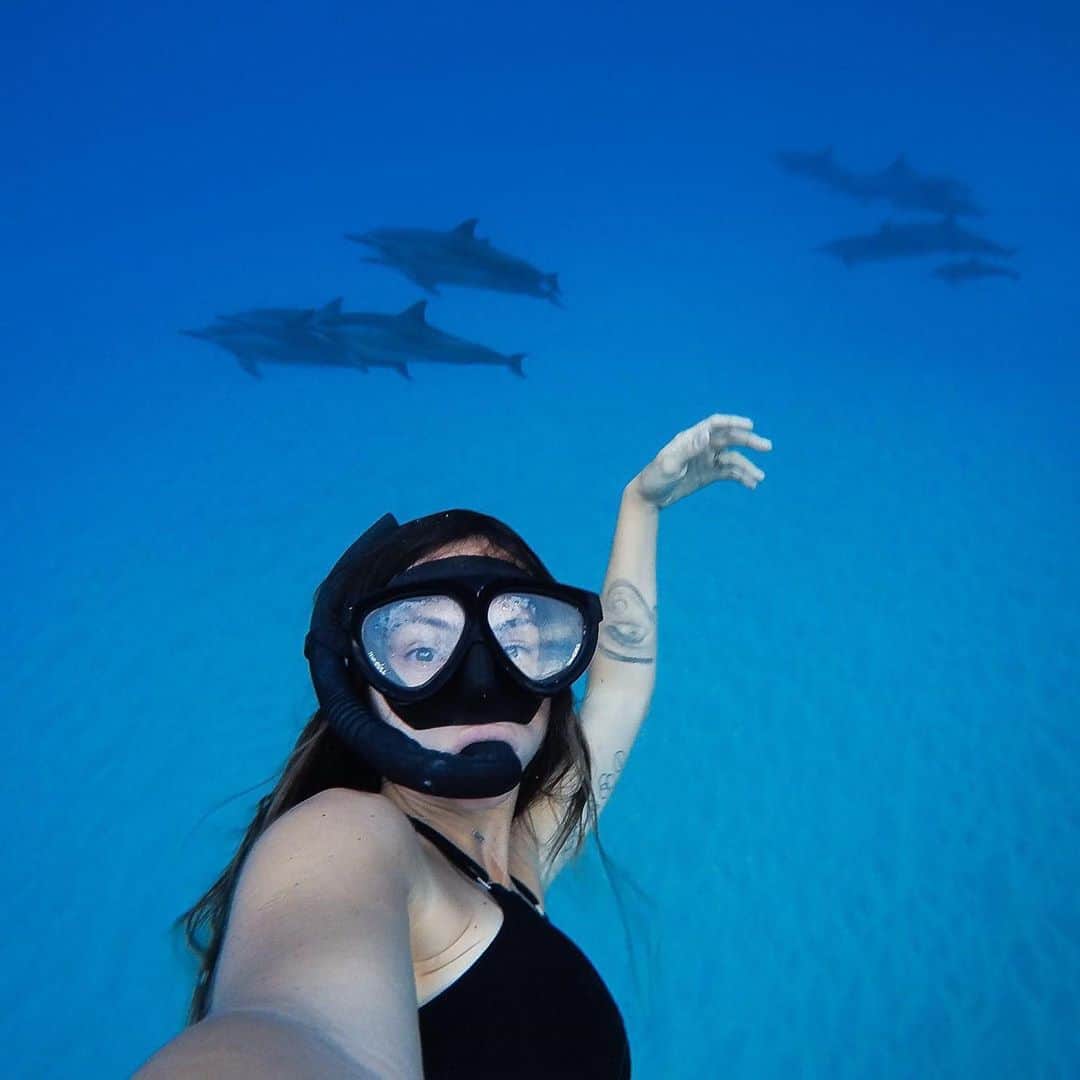 goproさんのインスタグラム写真 - (goproInstagram)「The inaugural #UnderwaterSelfieDay is here. 🤿 Alongside @paditv, we're encouraging you to make a statement with an underwater selfie—to spread awareness for the dire importance of preserving our oceans. 🐋 ⠀⠀⠀⠀⠀⠀⠀⠀⠀ Today, share an underwater selfie, tagging @paditv, @gopro, + #UnderwaterSelfieDay for the opportunity to take home $2,000, 1 of 3 #GoProHERO9 Blacks, or a social feature. If you’re unable to dive, dust off an SD card + share a gem from a past adventure. 🐟  📷@Ibrahim.aljledi, @bia_atkins, @marti_pj, @mancinoroberta, @jebcorliss ⠀⠀⠀⠀⠀⠀⠀⠀⠀ Tap the link in our bio for details + #ProTips」11月8日 0時33分 - gopro
