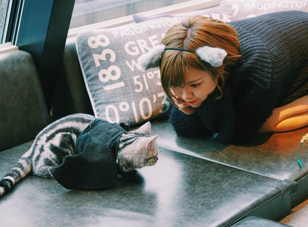 みきでりのグルメインスタ