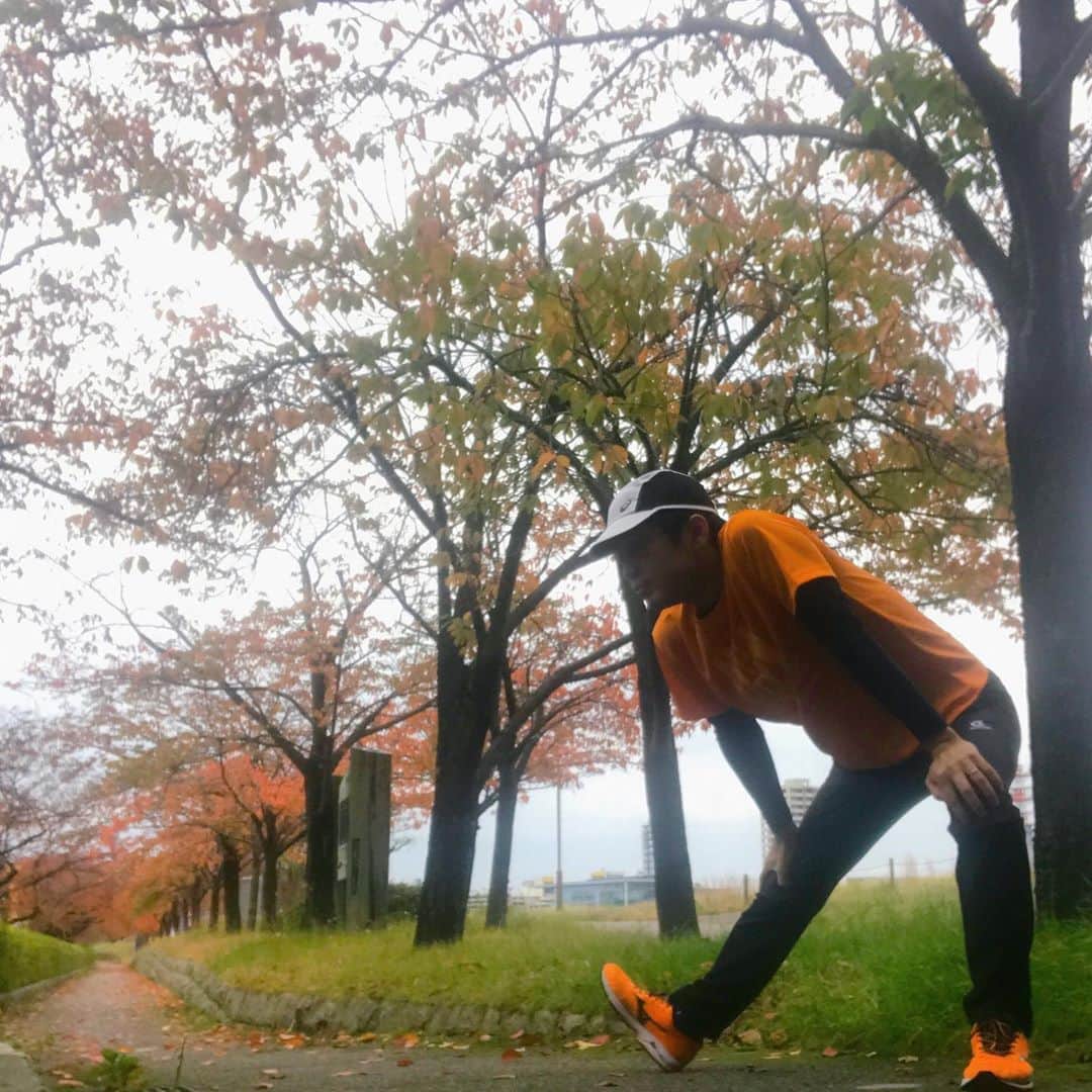坂部友宏さんのインスタグラム写真 - (坂部友宏Instagram)「秋真っ盛り🍁  「赤色が ずっと延びてる マイウェイ 　目線は上だ サンクスオータム」 (字余り🌱)  出来心短歌すみません。  12月になったらニット帽がいるなー 厚い上着もいるなー 重くなるなー  きょうは13kmくらいRUN👟👟👟 30km走れるようになったら、 フルマラソンに出たい。 初マラソンは新潟がいい🌏  ランニングはずっと続けてきたけど、 最近距離を伸ばして、思う... 日中の力につながる...😛  ゆうなびの原動力の1つはこのRUNです。  健康第一で過ごしたいです😏  #新潟らしい季節 #体操30分 #RUN13km #オレンジカラー  #坂部友宏」11月7日 16時37分 - t_sakabe_bsn