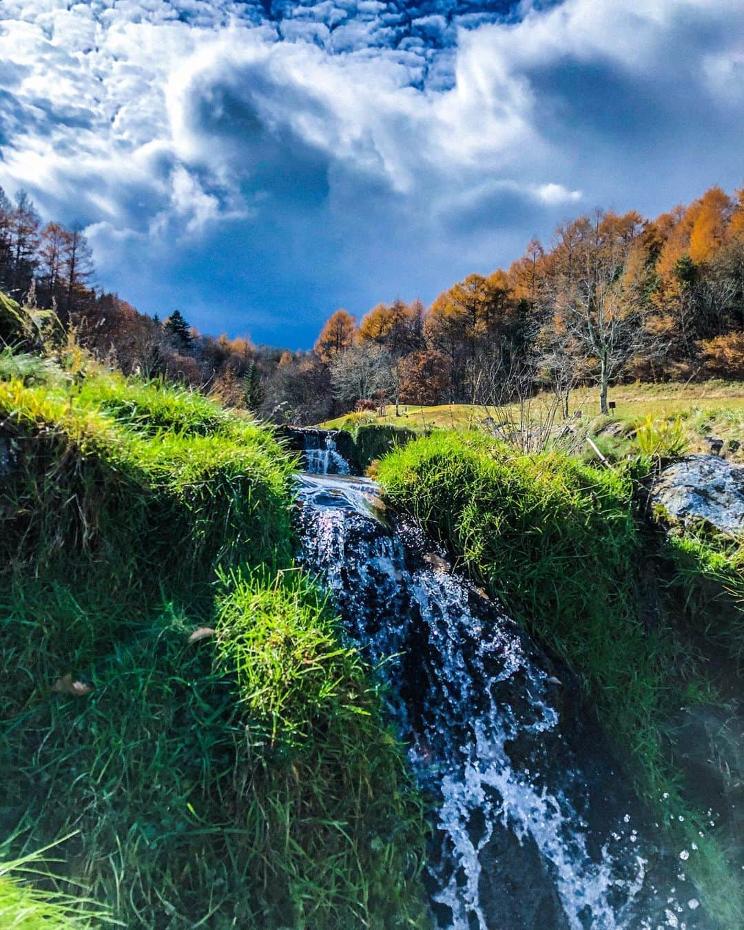 飯沼誠司さんのインスタグラム写真 - (飯沼誠司Instagram)「Happy surrounded by nature. #stream #akamatsu #naturalwater #protectnature」11月7日 16時49分 - seiji_iinuma