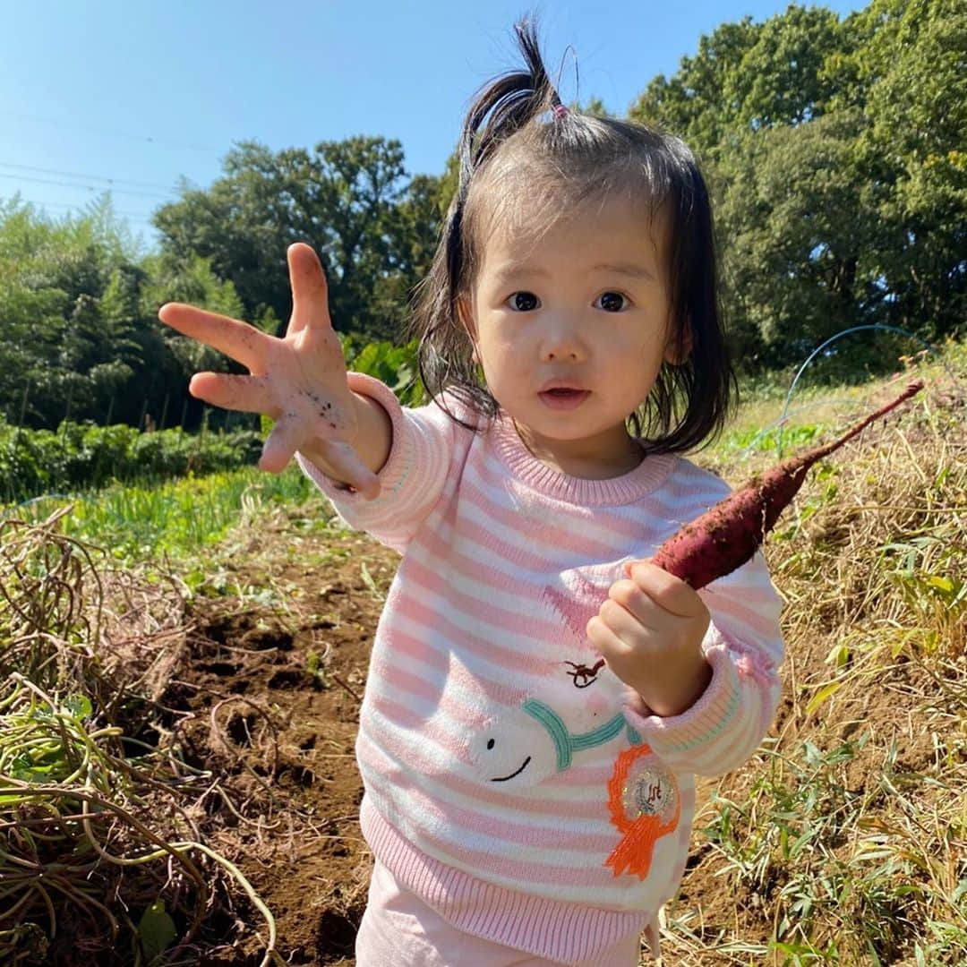 岡田薫のインスタグラム：「はじめての芋掘り🍠 小さいのひとつ取れました😊  #芋掘り#ママ友達#プレスクール#子育て#二人育児#女の子ママ#幼稚園ママ#娘と一緒#1歳#4歳と1歳#姉妹#姉妹ママ#ママリ#ママライフ#ワーママ#赤ちゃん#赤ちゃんのいる生活#ママと娘#子どもと遊ぶ #自然体験##momlife#babygirl#happymom#lovemyfamily#岡田薫」