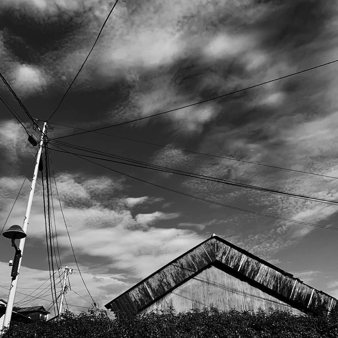 naotakeのインスタグラム：「青空 - A blue sky / iPhone XR & Snapseed, 20201108 . . iPhone12のProにするか、ProMaxにするか悩む。カメラ性能でいえばPro Maxだが、あの大きさ・重さに馴染めるか？ . . #spicollective #royalsnappingartists #infamous_family #rsa_main #infinity_photo_cult #2_fineart #jp_gallery_member #jp_gallery_bnw #trb_bnw #wp_bnw  #bnw_life #bnwlife_member #bnw_life_shots #bnw_captures #world_bnw #top_bnw #team_jp_ #team_jp_モノクロ #ig_energy_bw #ig_nihon #streetphotographybnw #igersjp #blackandwhite #bnw #bnwphoto #monochrome #bw #bnwphotography #ShotOniPhone #shotoniphoneXR」