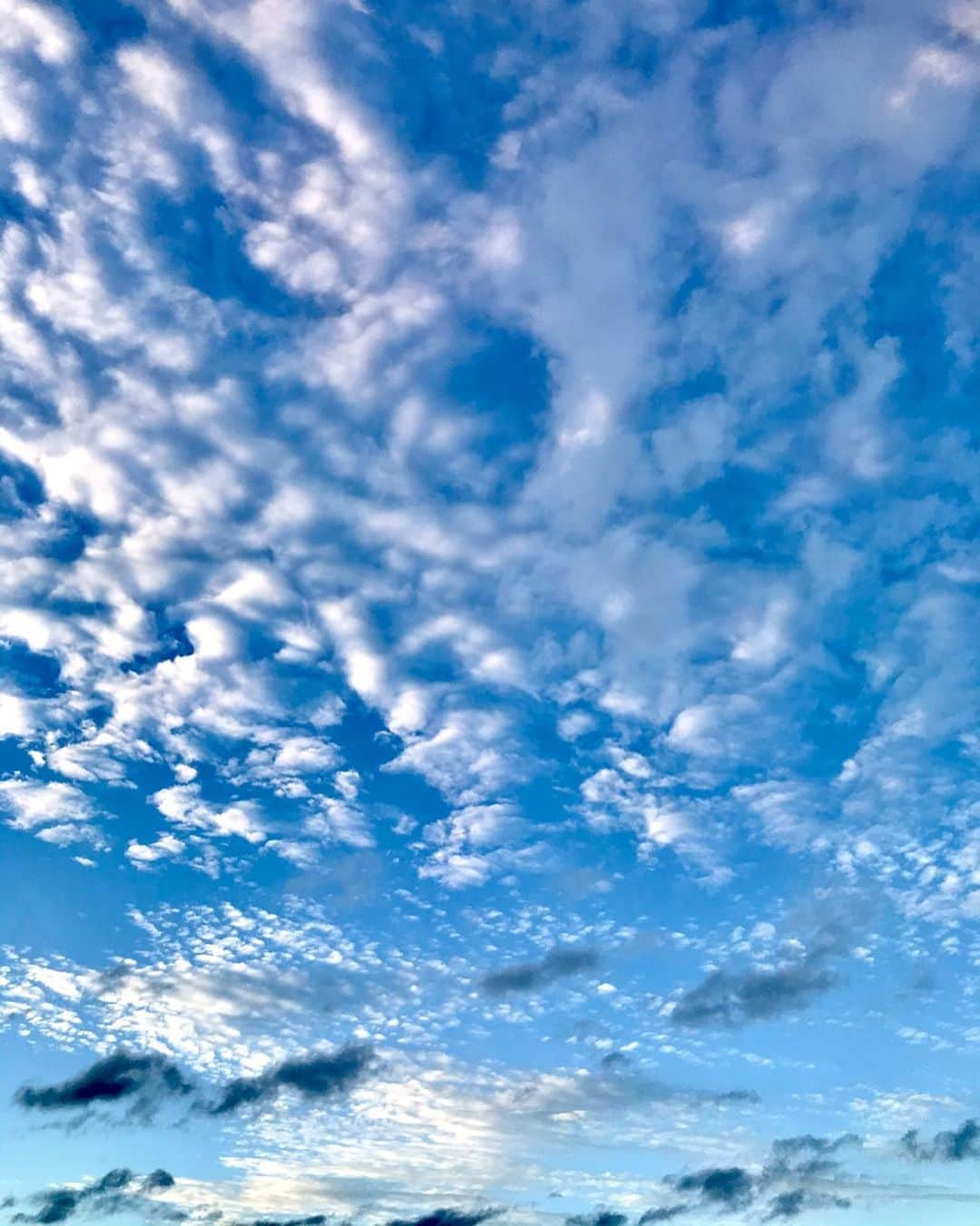 sioneのインスタグラム：「秋の空 今日の空は好きだなぁ」