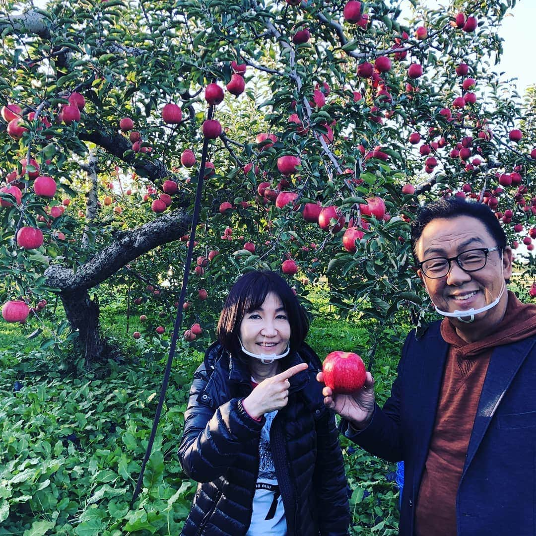 テレビ東京「土曜スペシャル」さんのインスタグラム写真 - (テレビ東京「土曜スペシャル」Instagram)「#結婚 30年の#梅沢富美男 夫妻が  #青森 の旅へ    このあと今夜6:30～  #いい旅夢気分  #紅葉 2020スペシャル！    #奥入瀬 #十和田湖 #岩木山  #八甲田山麓 の紅葉🍁盛りだくさん！  青森は梅沢さんのお母さんの故郷。  結婚30年で奥さん始めて連れて行った 場所とは？   更に！  #片岡愛之助 ＆ #藤井隆 は栃木に！  #黒崎 節＆ラブリンワールド全開です！    どうぞお楽しみに！   #宮崎美子  #八代亜紀 #ロバート秋山  #群馬  #紅葉温泉  #温泉  #絶景  #栃木」11月7日 17時35分 - tvtokyo_dosupe