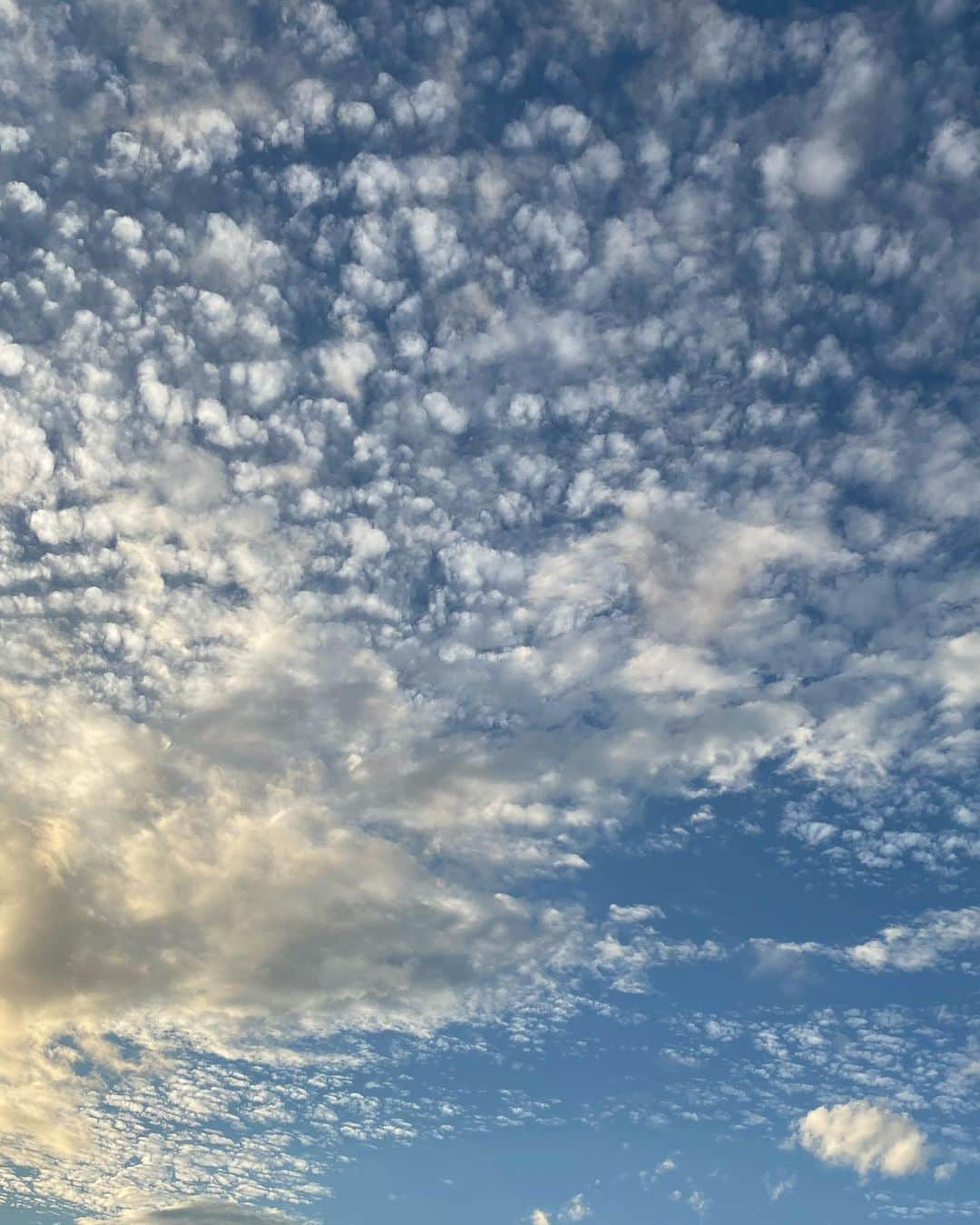 花野じゅりあさんのインスタグラム写真 - (花野じゅりあInstagram)「. 陽が傾く時間の秋の空  空ってなんでこんなにきれいなんでしょうね  たまに見上げて深呼吸 . . . . . #秋の空 #うろこ雲」11月7日 17時44分 - julia.hanano