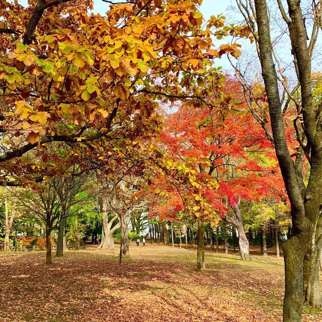 菊地友弘のインスタグラム：「きょうは立冬。 暦の上では冬の始まりですが、この時期にしては温かい一日に。 でも、来週は、、、 前半は札幌でも雪の予報❄️ ということで、きょうタイヤ交換をしました。 これで一安心！  一方で、勢いを増す新型コロナ。 きょうは道内で過去最多の187人の感染確認となっています。 警戒ステージも3に上がりました。 より一層緊張感を持って生活していくことが求められます。 室内の換気、マスク着用、手洗い等、できる対策をしっかりしていきましょう。 #立冬#二十四節気 #タイヤ交換#雪 #htb#イチオシ#菊地友弘」