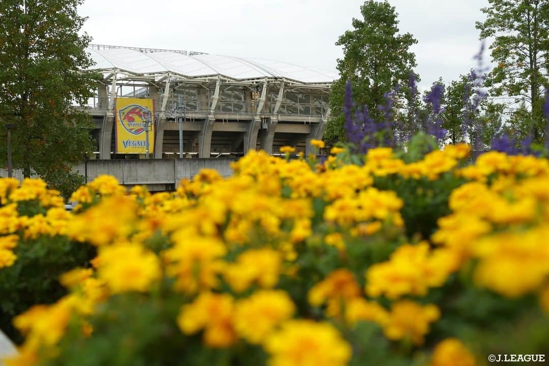 Ｊリーグさんのインスタグラム写真 - (ＪリーグInstagram)「.﻿ Go To STADIUM🏟 ~スタジアムに行こう~﻿ ﻿ 今回紹介するのは、﻿ #ベガルタ仙台 の #ユアテックスタジアム仙台 💛﻿ ﻿ ﻿ ユアテックスタジアム仙台は1997年6月、サッカー、ラグビー、アメリカンフットボールの専用公式競技場として誕生しました⚽️🏉🏈﻿ ﻿ スタンドを覆う屋根が場内の熱気と歓声を包み込み、選手と観客の興奮と感動を一体化させる「劇場型スタジアム」です📣🔥﻿ ﻿ バックスタンドを覆う屋根に向け、11台のカラー投光器による光の演出を実施しています。勝利時などエキサイティングな瞬間を、盛り上げています✨　﻿ ﻿ 現在ユアテックスタジアム仙台では、「Ｊリーグ 新型コロナウイルス感染症対応ガイドライン」に基づき感染予防対策を行なっています😊﻿ ユアテックスタジアム仙台に行こう‼️﻿ ﻿ ﻿ #Ｊリーグ﻿ #jleague﻿ ﻿ #vegalta #💛﻿ #ユアスタ  #スタジアム #stadium #🏟﻿ #宮城 #仙台﻿ #景色 #絶景﻿ #美しい #beauty #beautiful﻿ #ダレカニミセタイケシキ﻿ #観光 #旅行 #trip﻿ #サッカー #soccer﻿ #football #⚽️」11月7日 18時00分 - jleaguejp