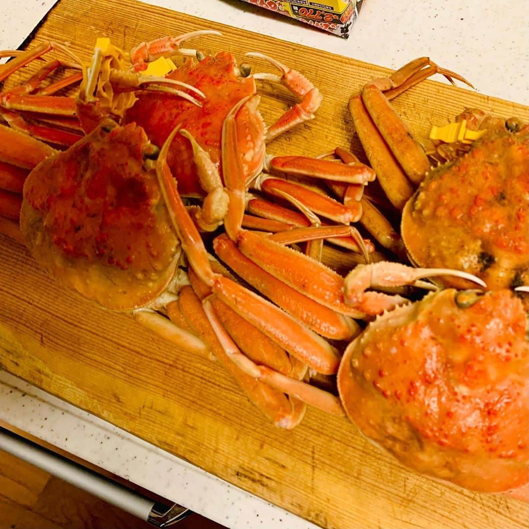 takegaeruのインスタグラム：「今年も無事解禁🦀 恒例の丼で美味しく頂きました😋 #越前蟹 #せいこ蟹 #せいこ丼」