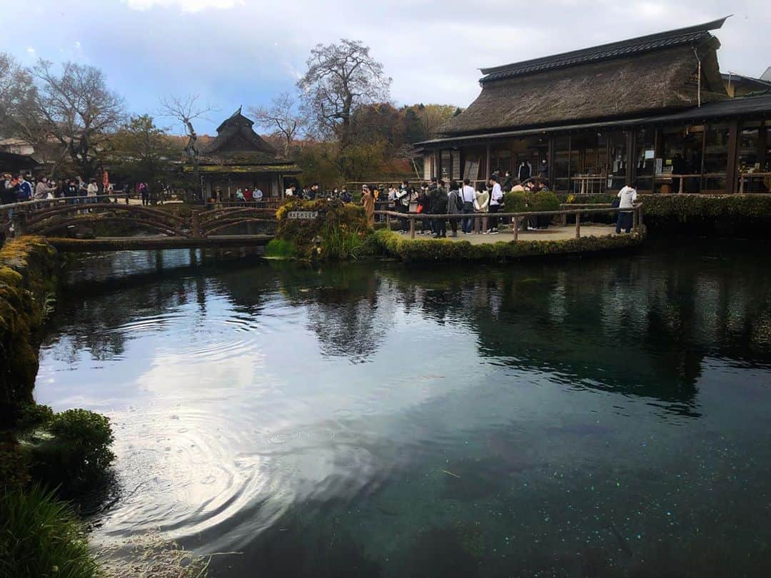 尻無浜冴美さんのインスタグラム写真 - (尻無浜冴美Instagram)「行ってみたかった忍野八海🥰 水の透明度が素晴らしい！！！ 底が丸見え、泳いでる鯉もばっちり見えました(／-＼*)  松茸に忍野八海によりどりみどりの日帰りバスツアー、楽しかった💓💓💓  #忍野八海  #富士山  #バスツアー  #日帰りバスツアー  #fuji #oshinohakkai」11月7日 18時39分 - saemi_shinahama