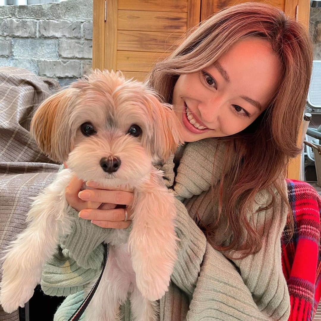 小祝麻里亜のインスタグラム：「ランチに　@_lanithemorkie_ ラニちゃんも来てくれて、癒されました😭🐶💘💘本当に本当に可愛い！！！  亡き祖母が最後に可愛がってくれていた、一緒に飼っていたヨークシャテリアを思い出しました😊  元気いっぱいのラニちゃんを友達と一緒に散歩したような、してもらったような笑　食後の良い運動にもなりました😍楽しい時間を有難う、ラニちゃん🙏💞  ． ． ．＿＿＿＿＿＿＿＿ #outfit #coordinate #look #dogstagram #instafashion #셀스타그램 #얼스타그램 #코디 #스타일링 #데일리 #데일리룩 #오오티디 #가을코디 #いぬすたぐらむ #お散歩」