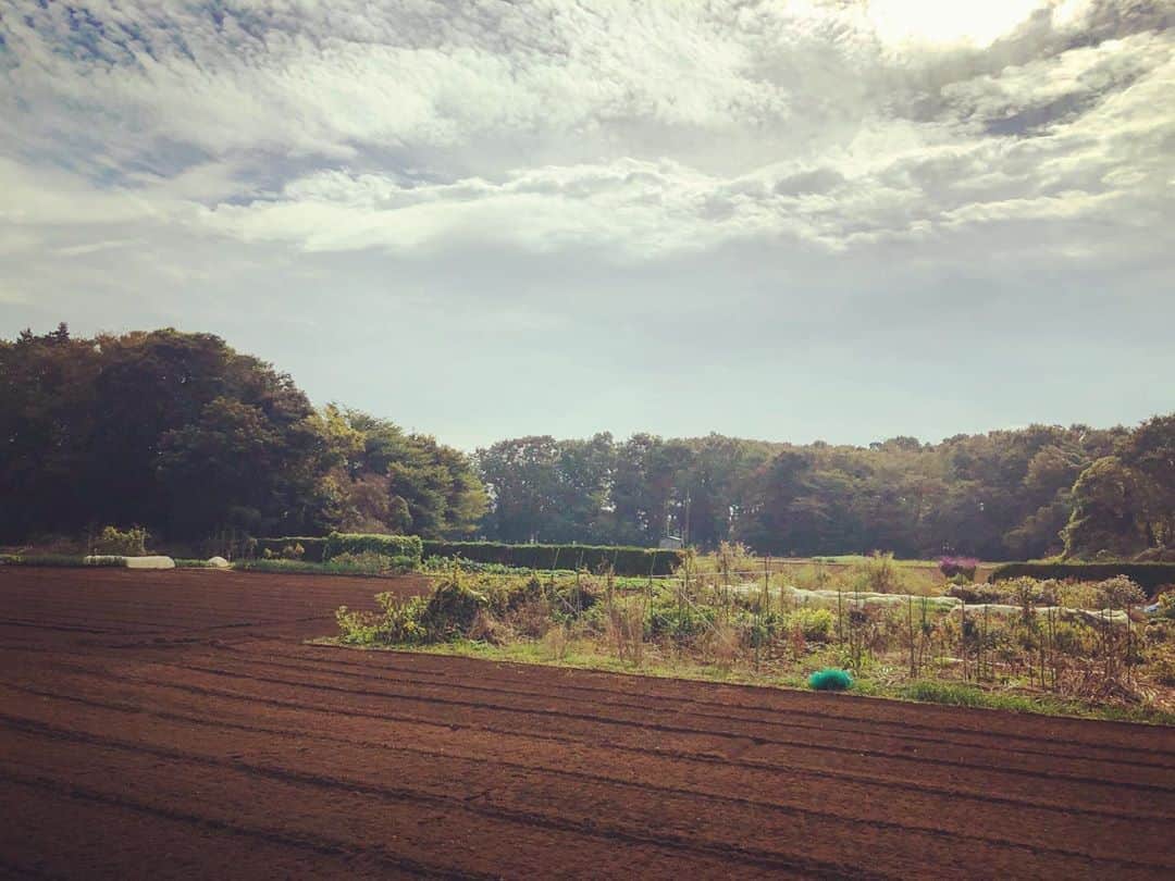 青山草太さんのインスタグラム写真 - (青山草太Instagram)「東京を少し離れただけでこの景色。  こういう景色に少し見飽き東京のネオンに憧れて上京してきたのに、今ではこういう景色を見てホッとしているんだから不思議なもんです（笑）  #青山草太#sotaaoyama #日本#japan #景色#scenery #田舎#countryside」11月7日 19時06分 - sotaaoyama