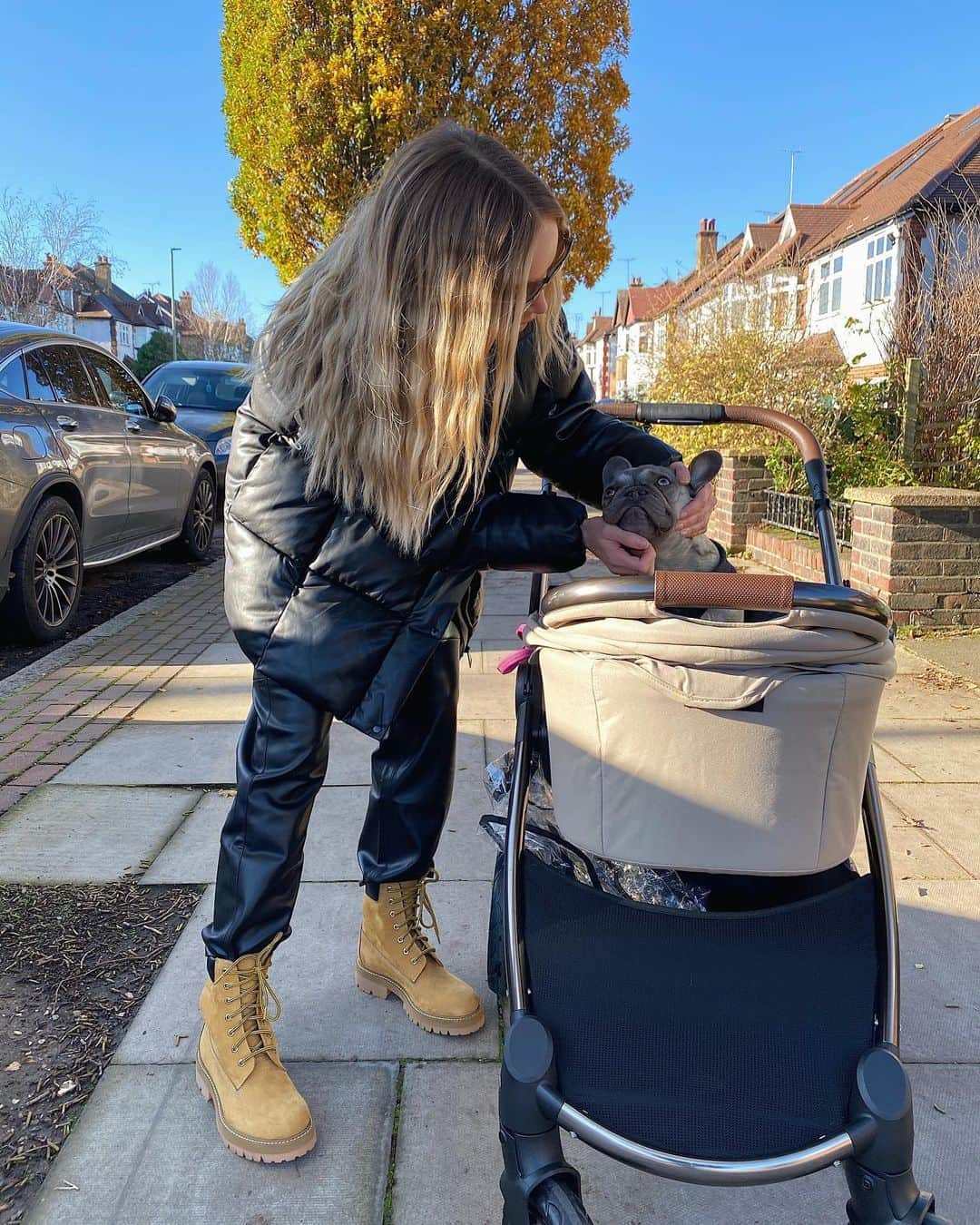 ローレン・ポープさんのインスタグラム写真 - (ローレン・ポープInstagram)「Cookies face 👉🏼 Summing up 2020 🍪🍪🍪  I promise she does actually enjoy her daily pram walks even though she looks like she wants to kill me 😂 She’s not supposed to be walking more then a couple of steps at the moment while she heals from her spinal operation so this is the next best thing to get her out of the house & stimulate her brain a little 🥰」11月7日 19時25分 - laurenpopey