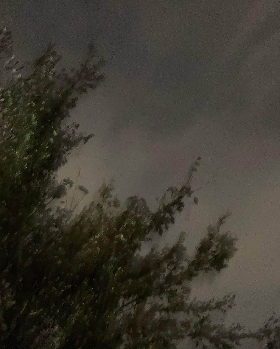 イム・ボラさんのインスタグラム写真 - (イム・ボラInstagram)「11월 한강공원 추우려나했는데 역시 춥네요.. 다들 따뜻하게 입으시고 감기 조심하세요」11月7日 20時18分 - 3.48kg