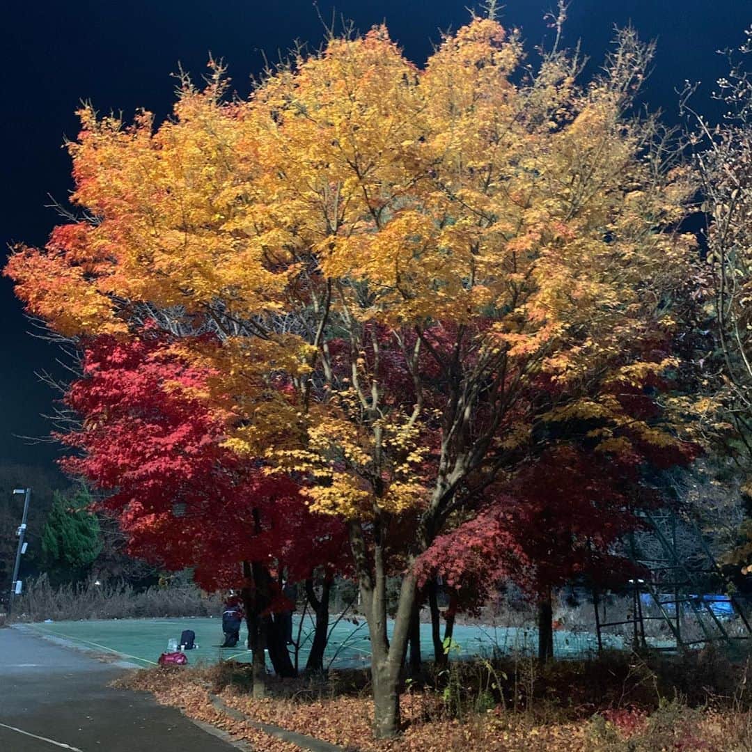 コ・ギョンピョのインスタグラム：「가울..🍁🍂🥶」