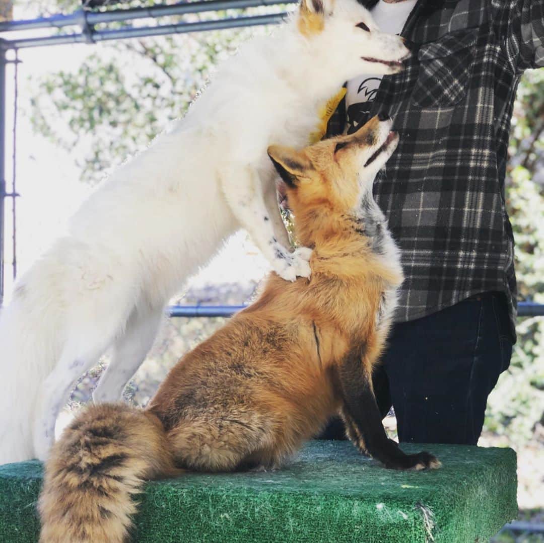 Rylaiのインスタグラム