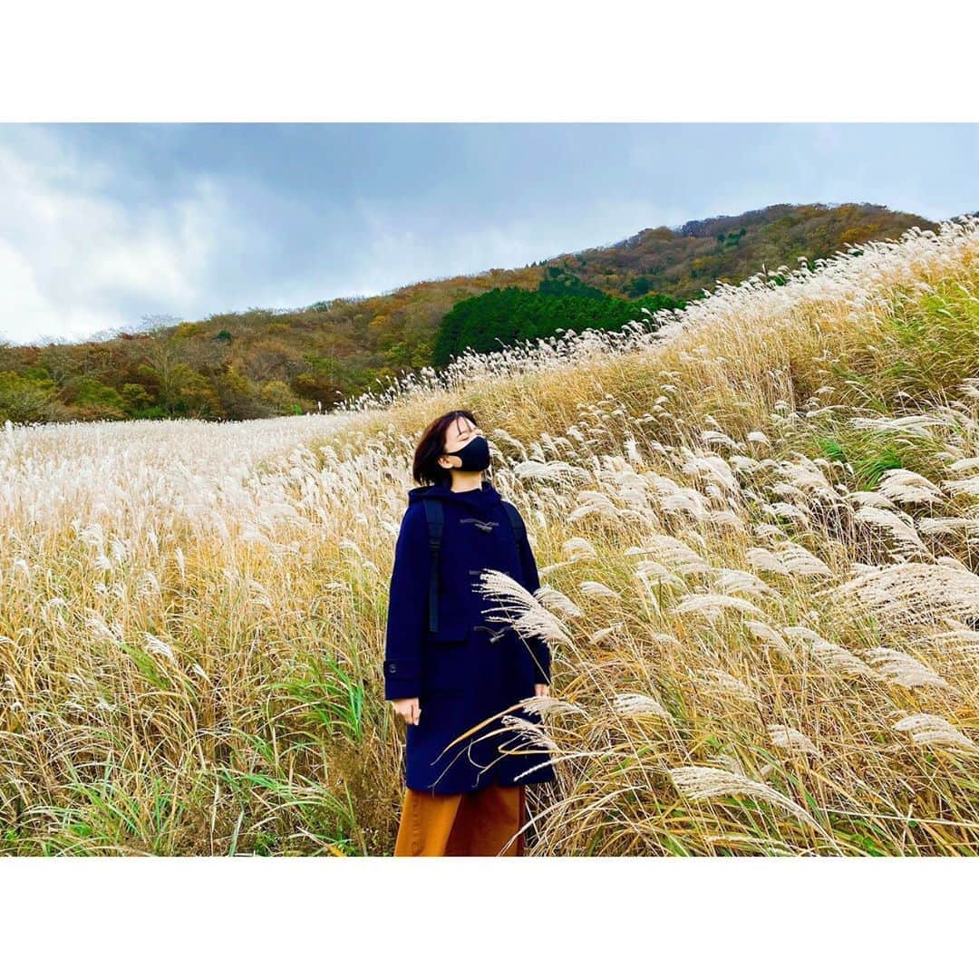 梶原凪さんのインスタグラム写真 - (梶原凪Instagram)「秋を感じてきました🍁」11月7日 20時24分 - kajihara.nagi_insta
