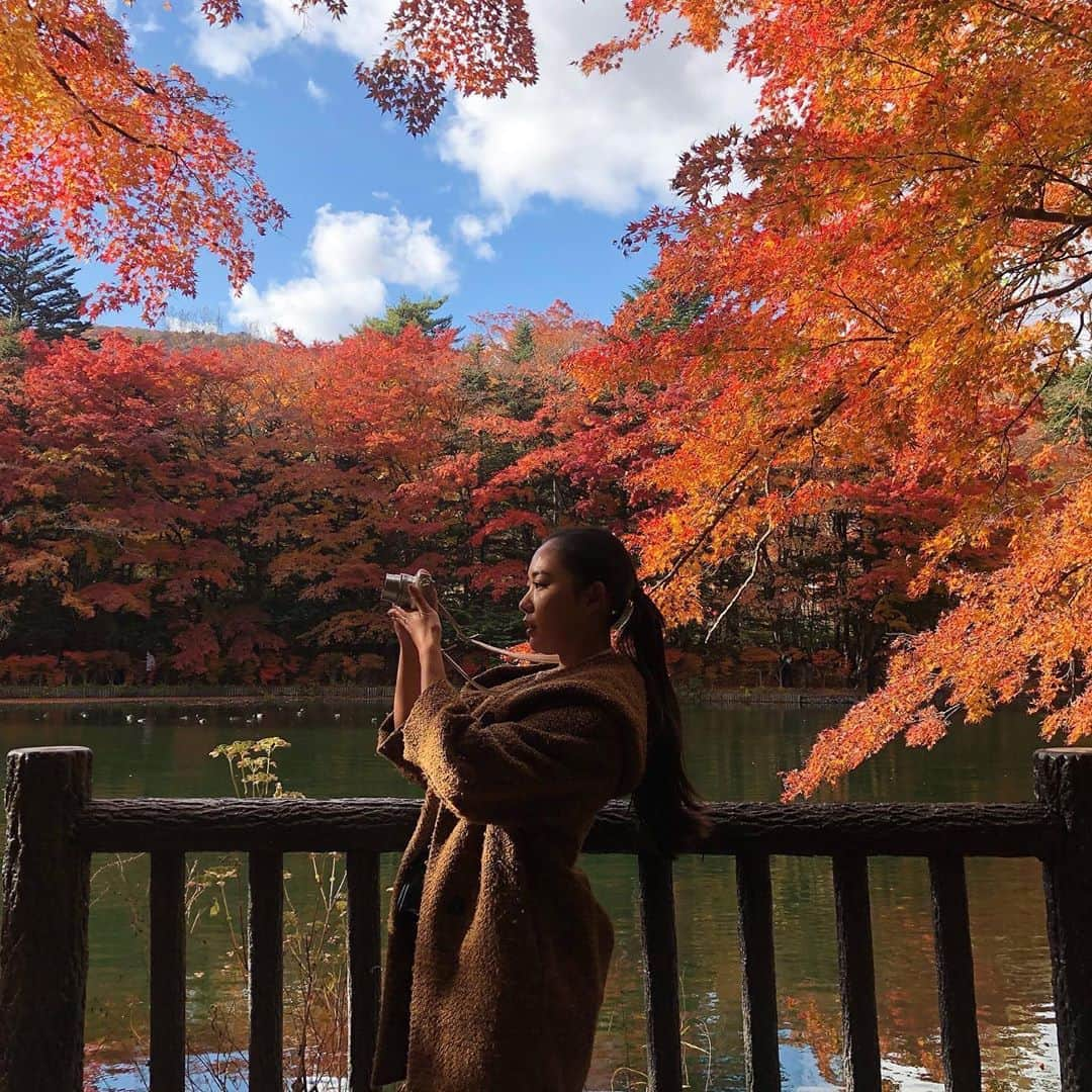 角田聖奈さんのインスタグラム写真 - (角田聖奈Instagram)「自然がたくさんあるところではカメラが楽しくて仕方ない🥰📸🍁  早く写真が撮りたくてチャリ爆走してましたw #nofilter #私の作品 #olympuspen #カメラ女子 #カメラ練習中 #カメラ好きな人と繋がりたい #カメラのある生活 #自然 #紅葉 #軽井沢 #雲場池」11月7日 20時25分 - seina1105