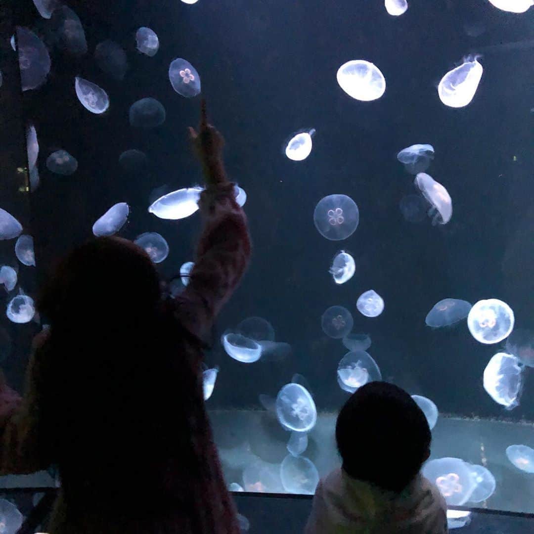 筧沙奈恵さんのインスタグラム写真 - (筧沙奈恵Instagram)「子どもたちとサンシャイン水族館へ行ってきました😊 ・ 海の生き物が大好きな2人は夢中😍 ・ クラゲを近くでじーっと見て「中身が赤いねー！」「こっちは小さいから赤ちゃんだね。」と会話している姿が微笑ましい👦👧 ・ 鬼滅の刃の謎解きが開催されていたので、先日に引き続き挑戦！意外と難しいので、私も一生懸命考えました😂 ・ 娘が大好きな「ざんねんないきもの展」にも行ってきました🐡生き物のクスッと笑えるおもしろい生態が紹介されています👀 ・ ざんねんないきもの事典の本のおかげで、娘の豆知識がどんどん増えていく👧いつも「知ってるー？」と私に教えてくれます😌 ・ #サンシャイン　#サンシャイン水族館　#クラゲ　#jerryfish #子連れお出かけ　#家族でお出かけ #水族館　#鬼滅の刃　#鬼滅の刃謎解き　#姉弟　#2児ママ　#ざんねんないきもの事典 #ざんねんないきもの展」11月7日 20時36分 - sanaekakei