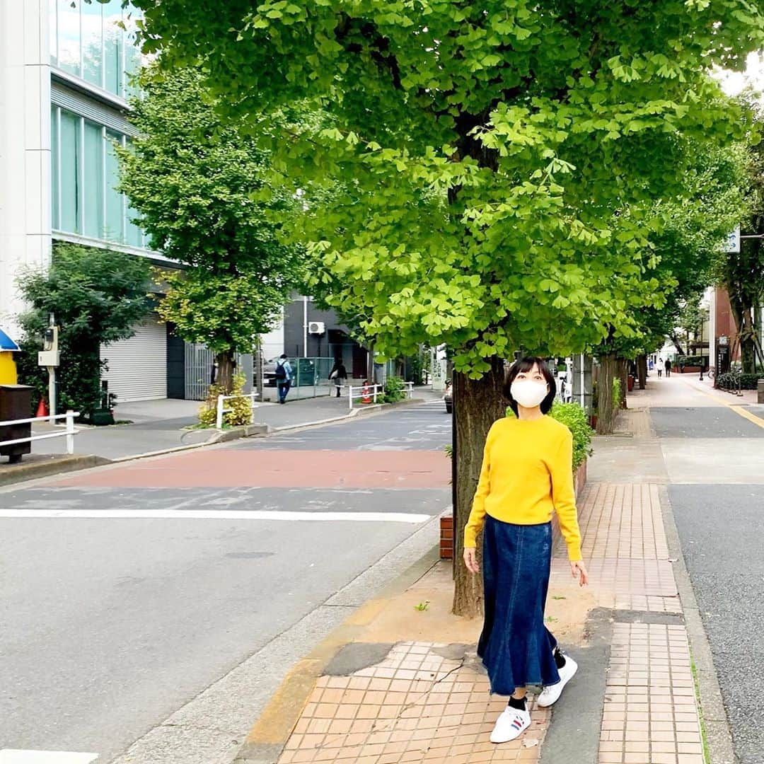 のインスタグラム：「黄色つながり🍠 Yellows!! ・ なんと予報に反して今週も暖かい週末になりました☺️ 上着なしで出かけたよ👟 ・ 帰りにセブンの新作スイーツ？を手に入れました。 どっちも食べたけど、おすすめは「なると金時の洋風芋ようかん」。 ポイントは洋風というところ。 甘さが絶妙なので、見つけたらトライしてみて✨ ・ #sevenelevensweets #autumn #yellow  #voiceover #voiceactor #japanesevoiceover #narrator  #ナレーター #西原さおり #こんな声です → @saolisample」